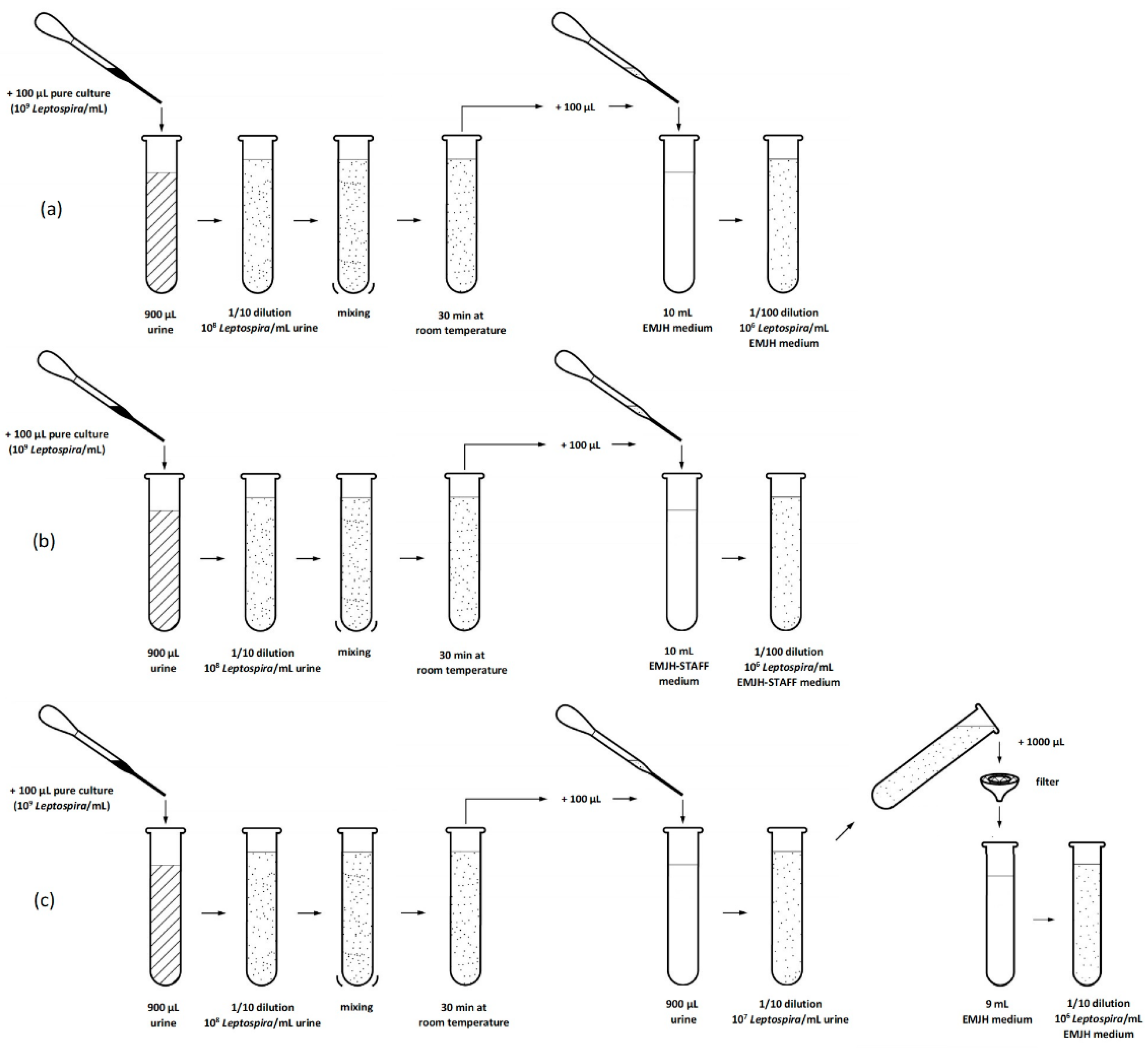 Vetsci 08 00090 g001