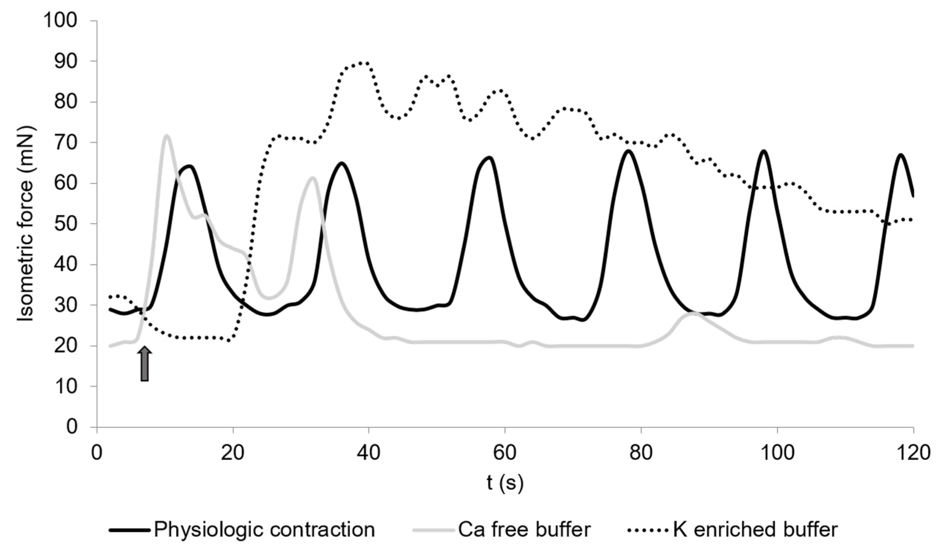 Veterinary Sciences Free Full Text Characterization Of Cecal Smooth Muscle Contraction In Laying Hens