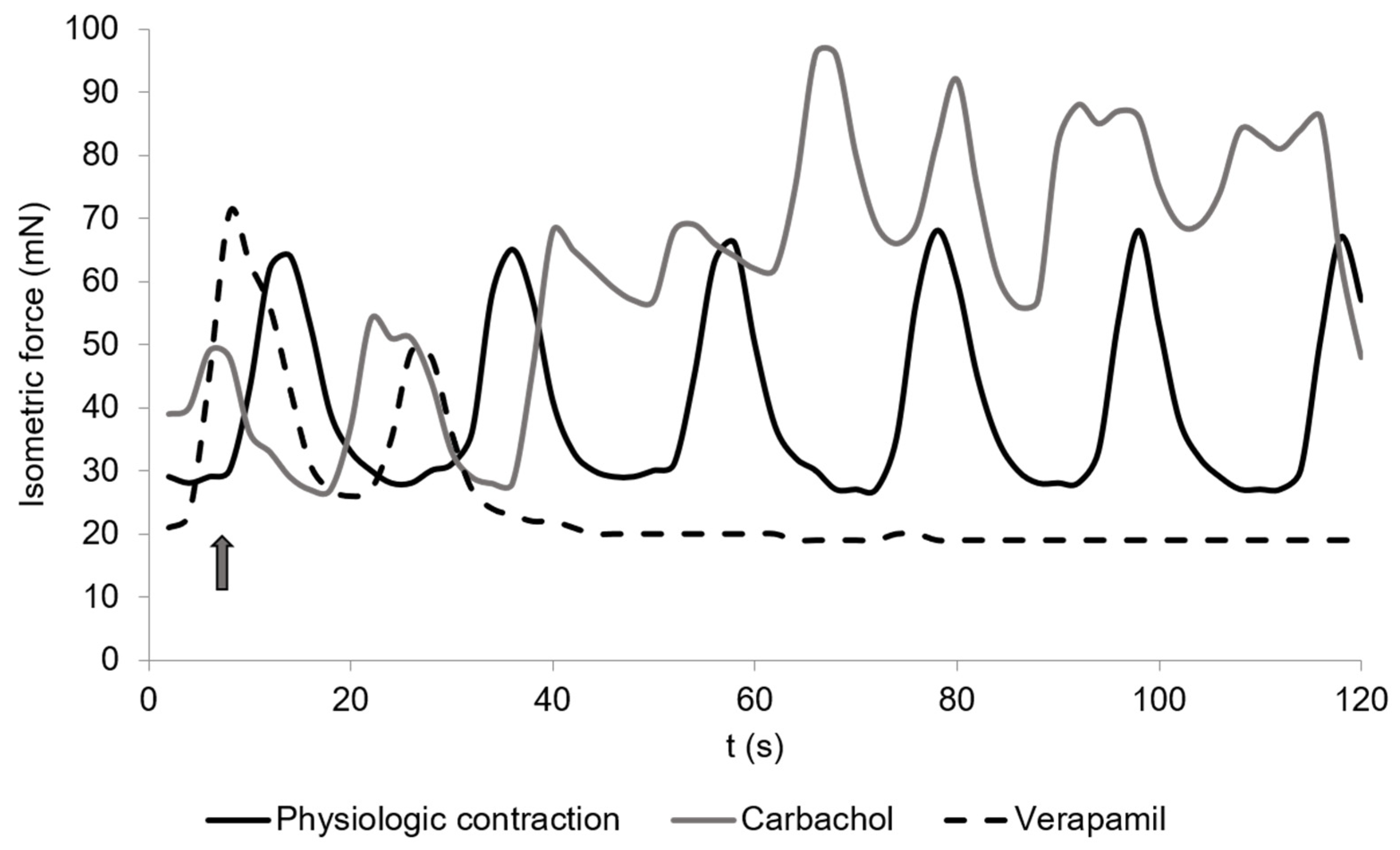 Vetsci 08 00091 g002 Vetsci 08 00091 g002