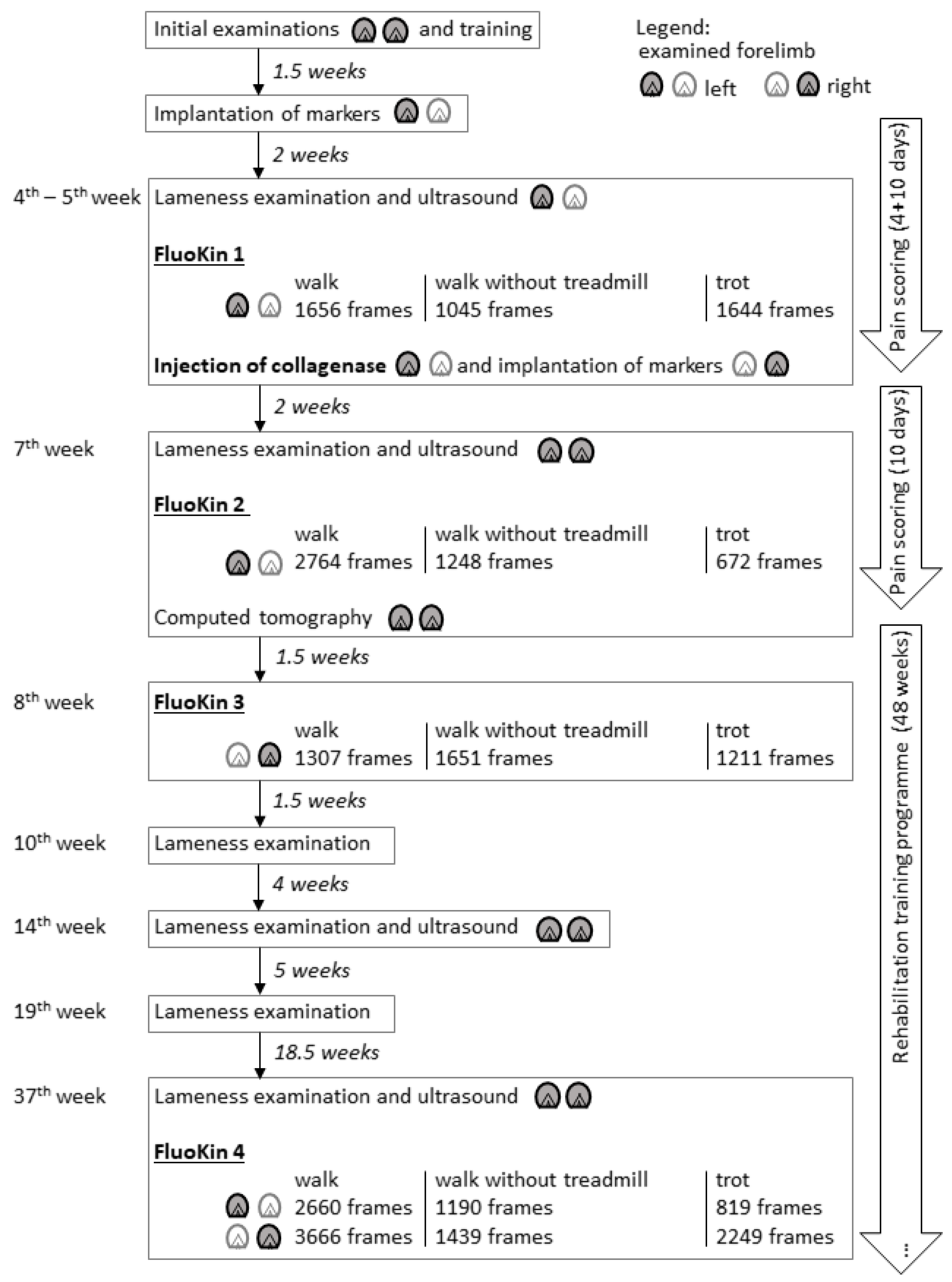 Vetsci 08 00092 g001