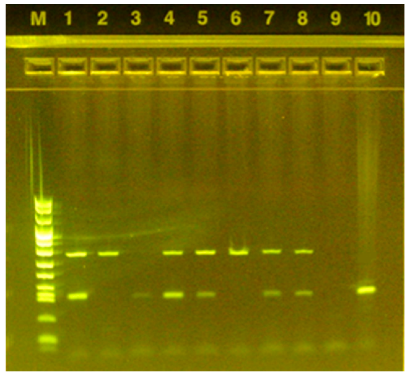 Vetsci 08 00101 g002