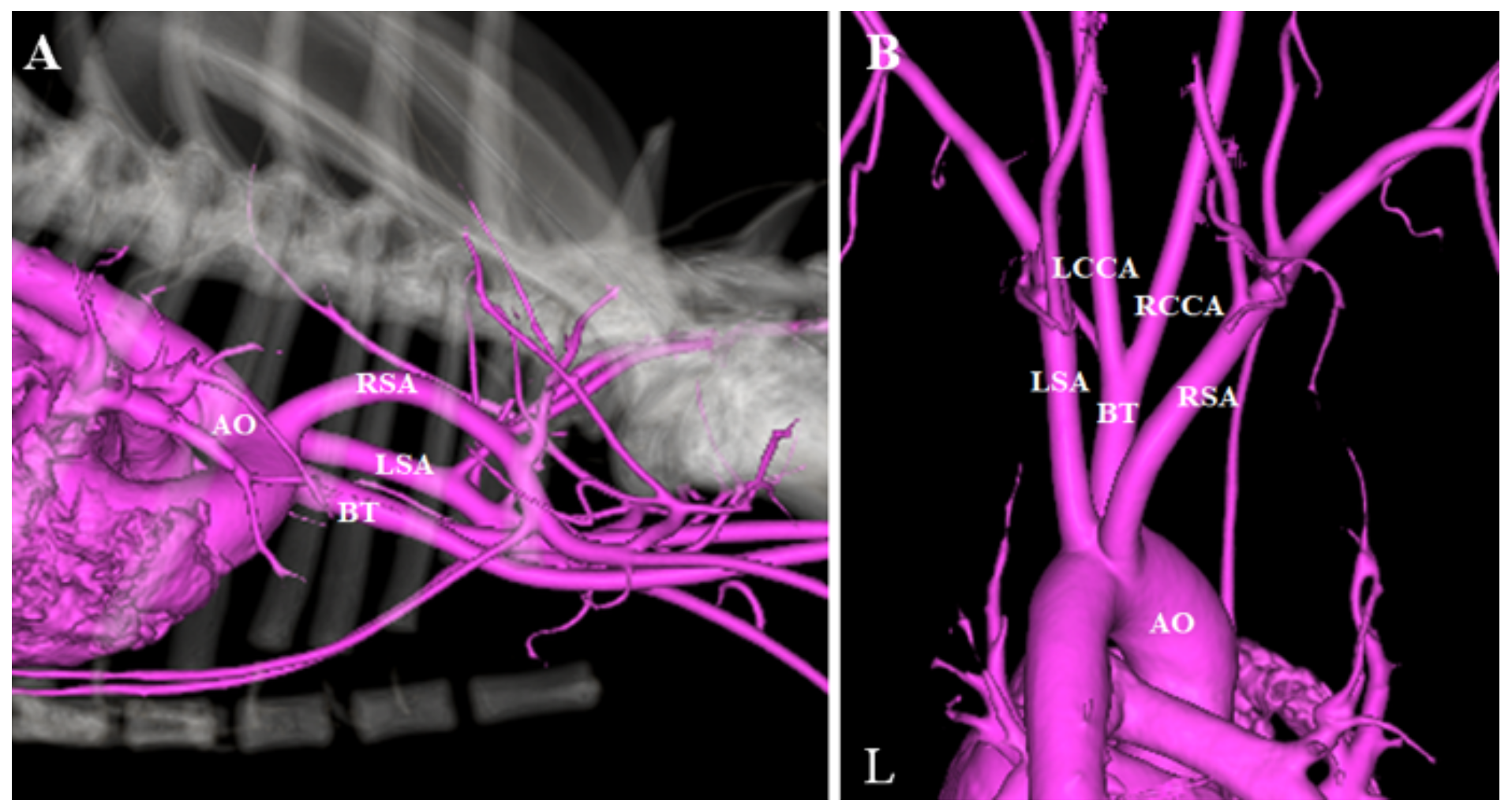 Vetsci 08 00104 g003