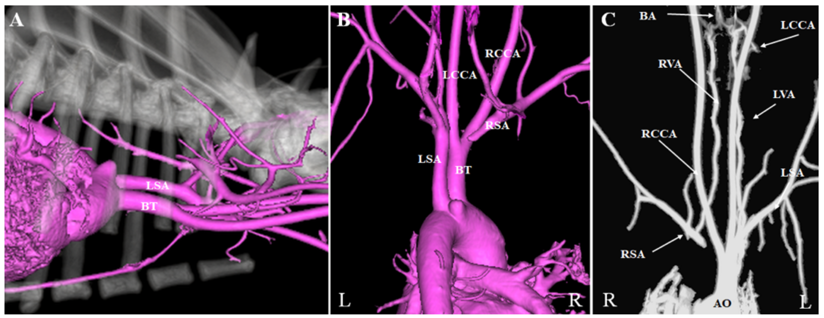 Vetsci 08 00104 g004