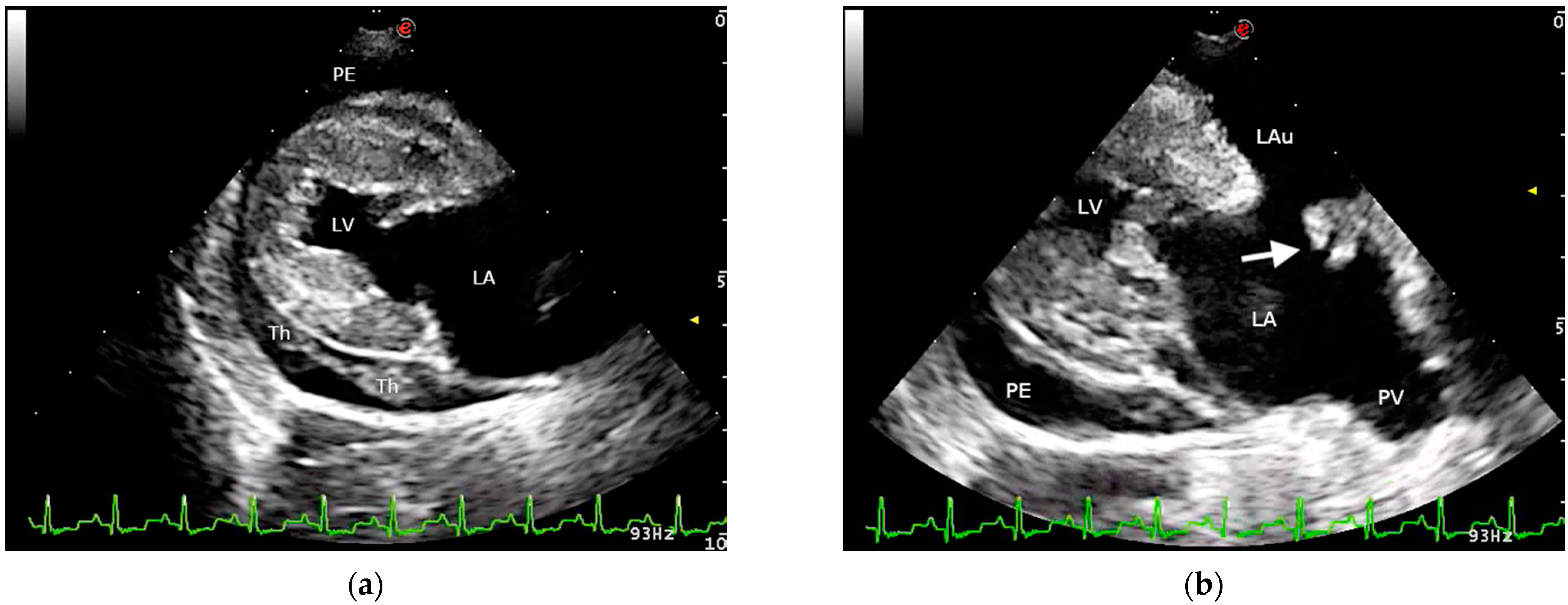 Vetsci 08 00112 g001