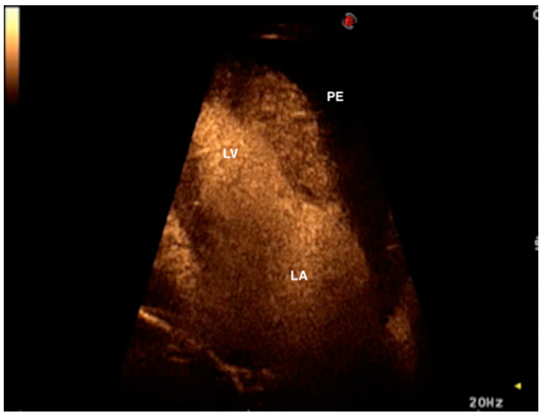 Vetsci 08 00112 g002