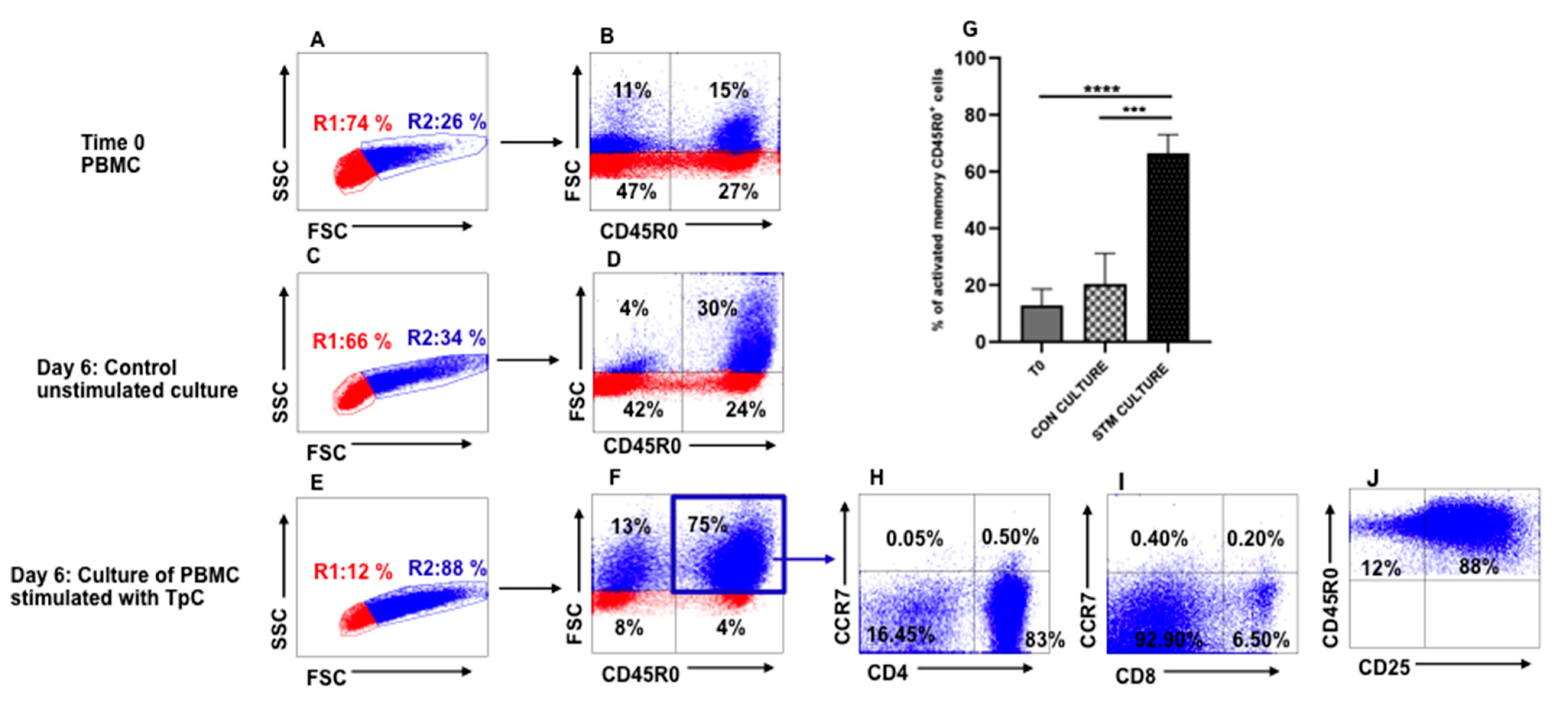 Vetsci 08 00114 g001 Vetsci 08 00114 g001
