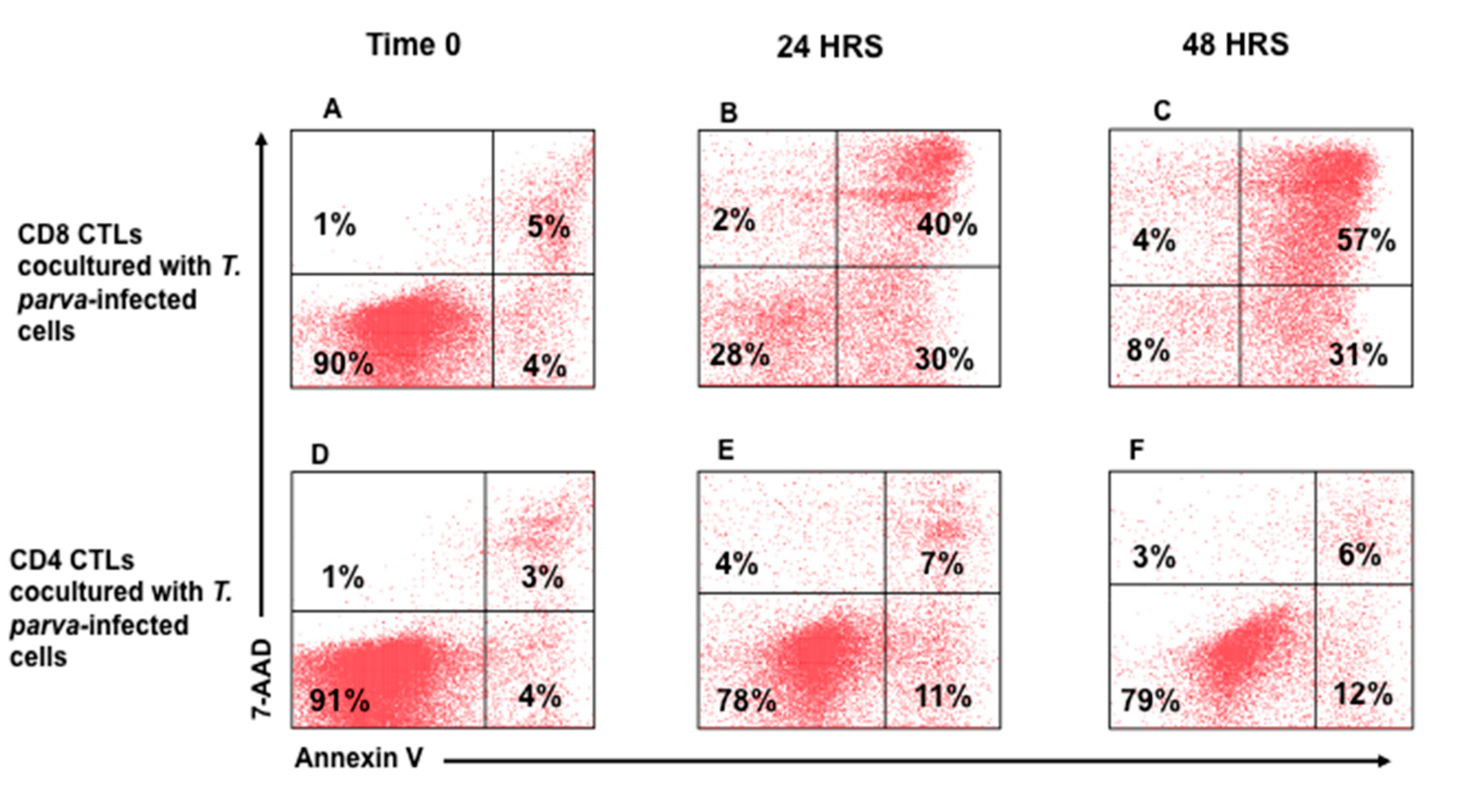 Vetsci 08 00114 g005 Vetsci 08 00114 g005