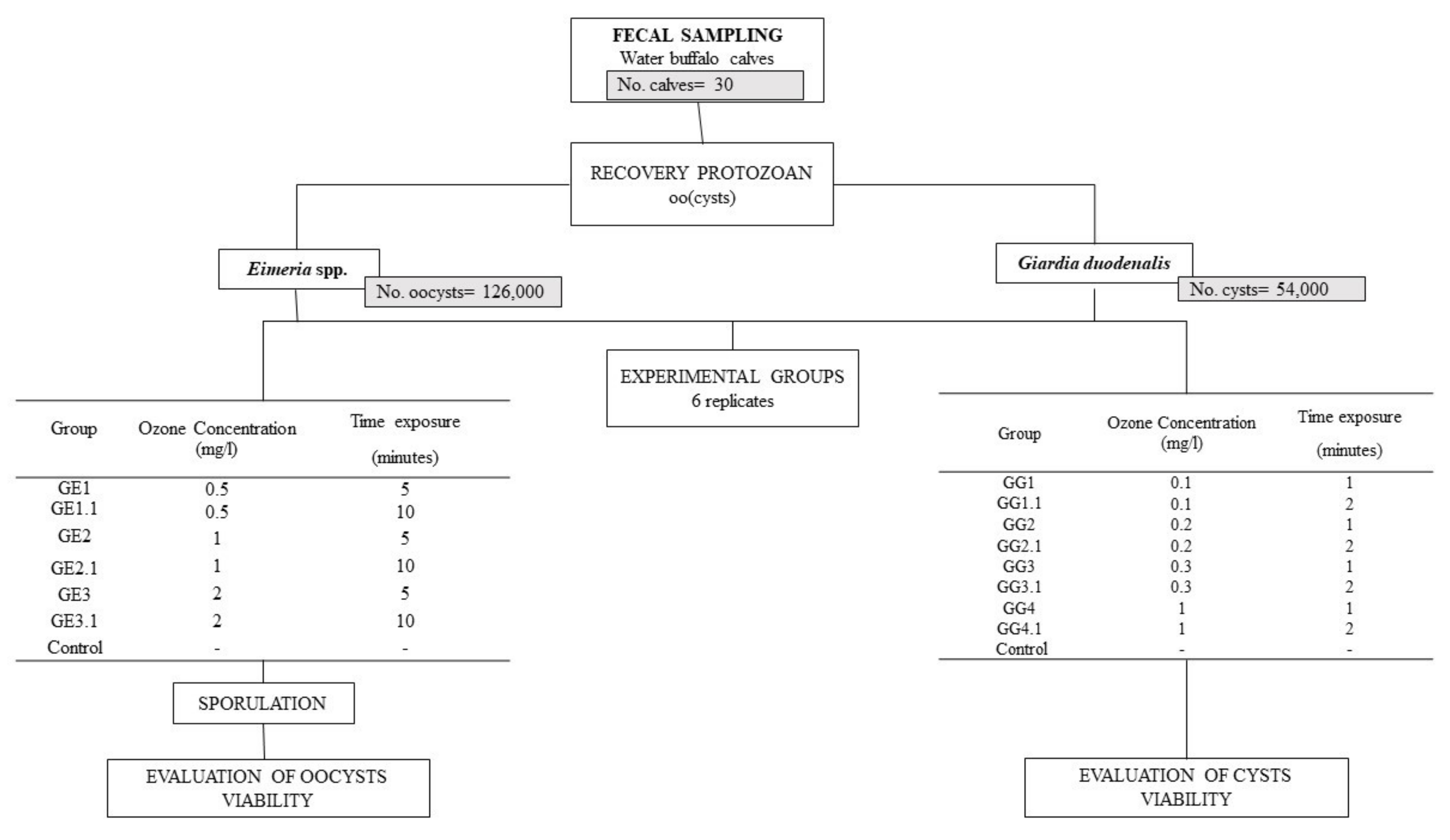 Vetsci 08 00115 g001