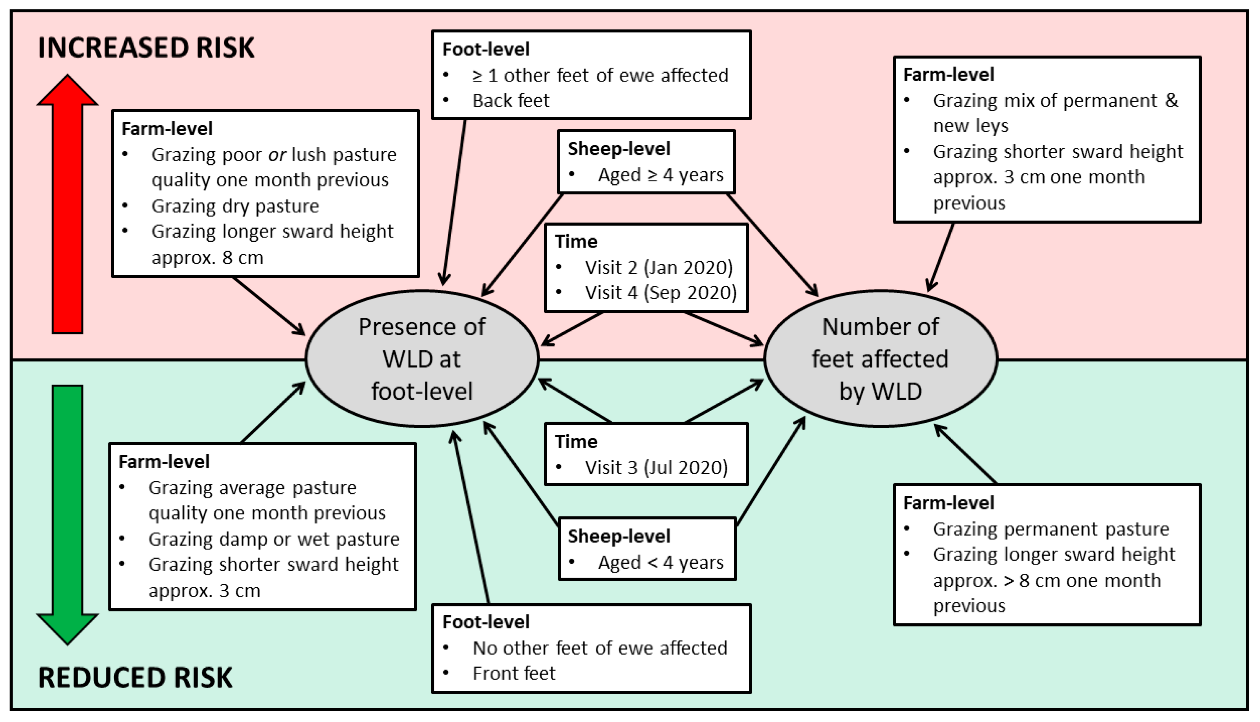 Vetsci 08 00116 g003 Vetsci 08 00116 g003