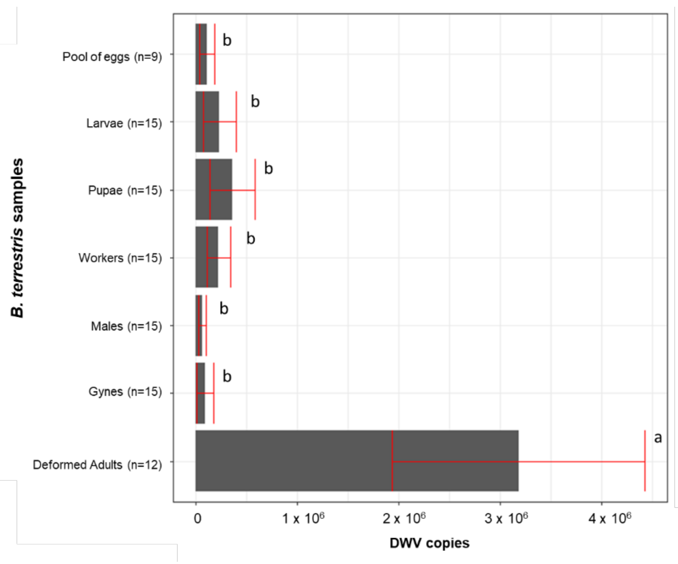 Vetsci 08 00117 g003 Vetsci 08 00117 g003