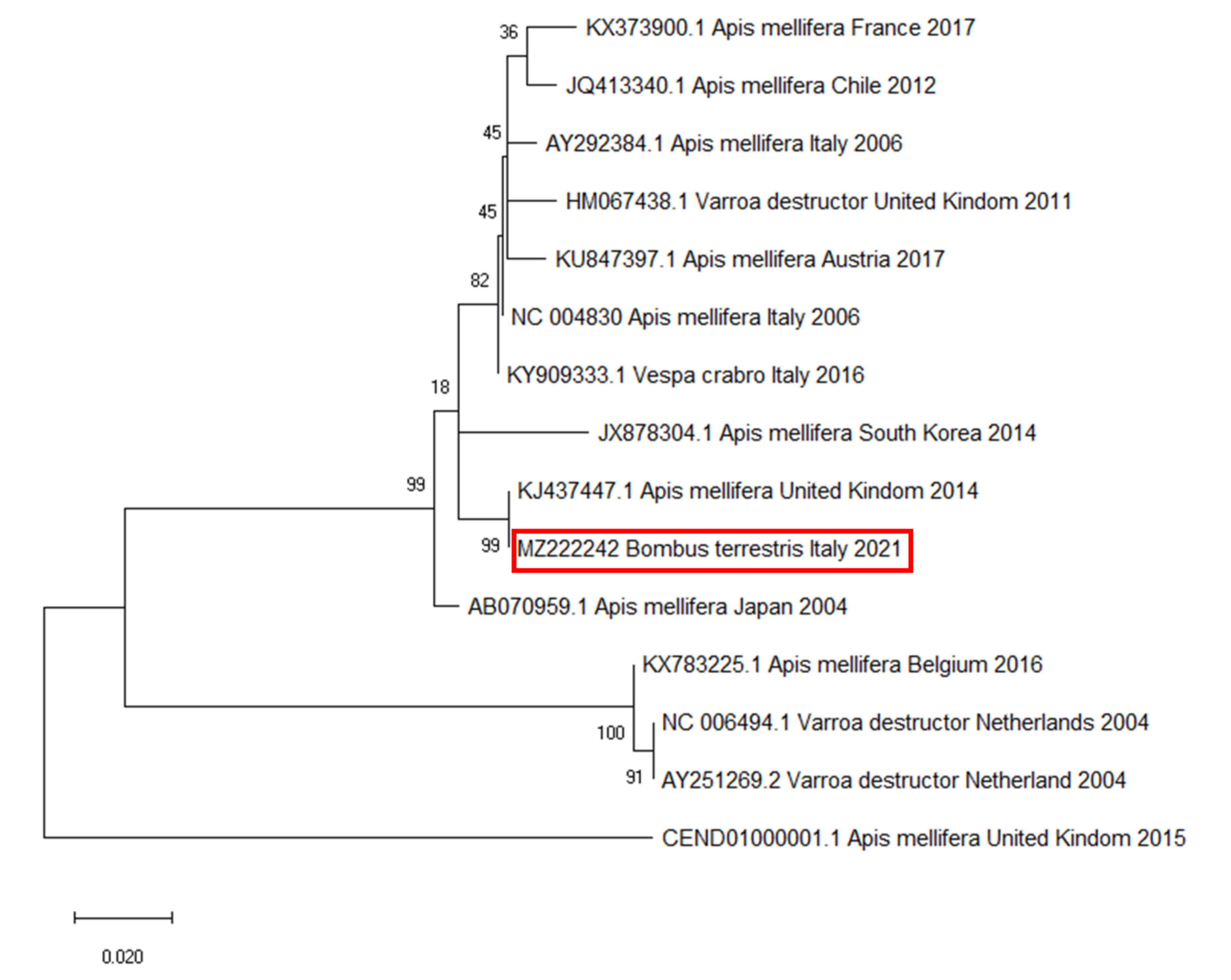 Vetsci 08 00117 g005 Vetsci 08 00117 g005
