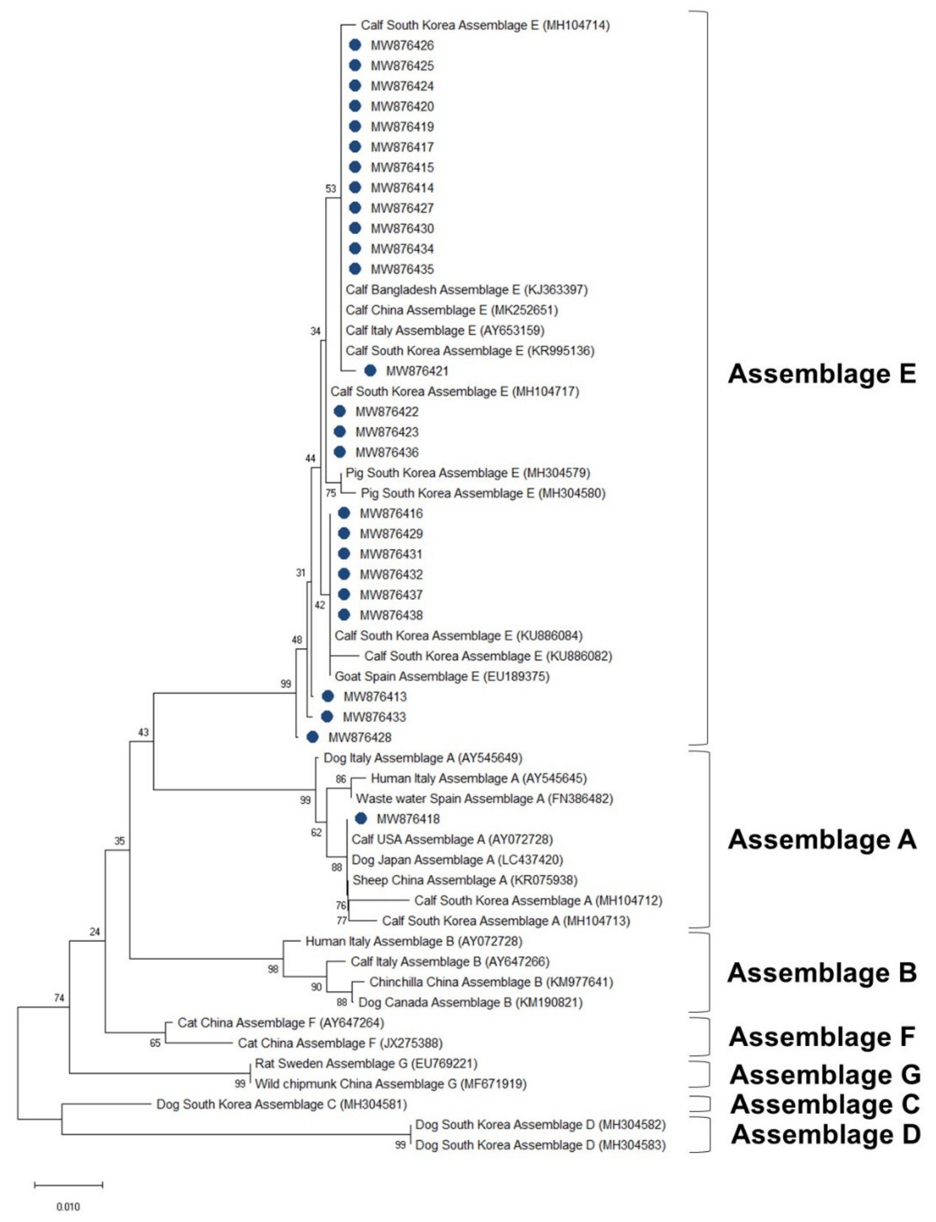 Vetsci 08 00118 g004 550
