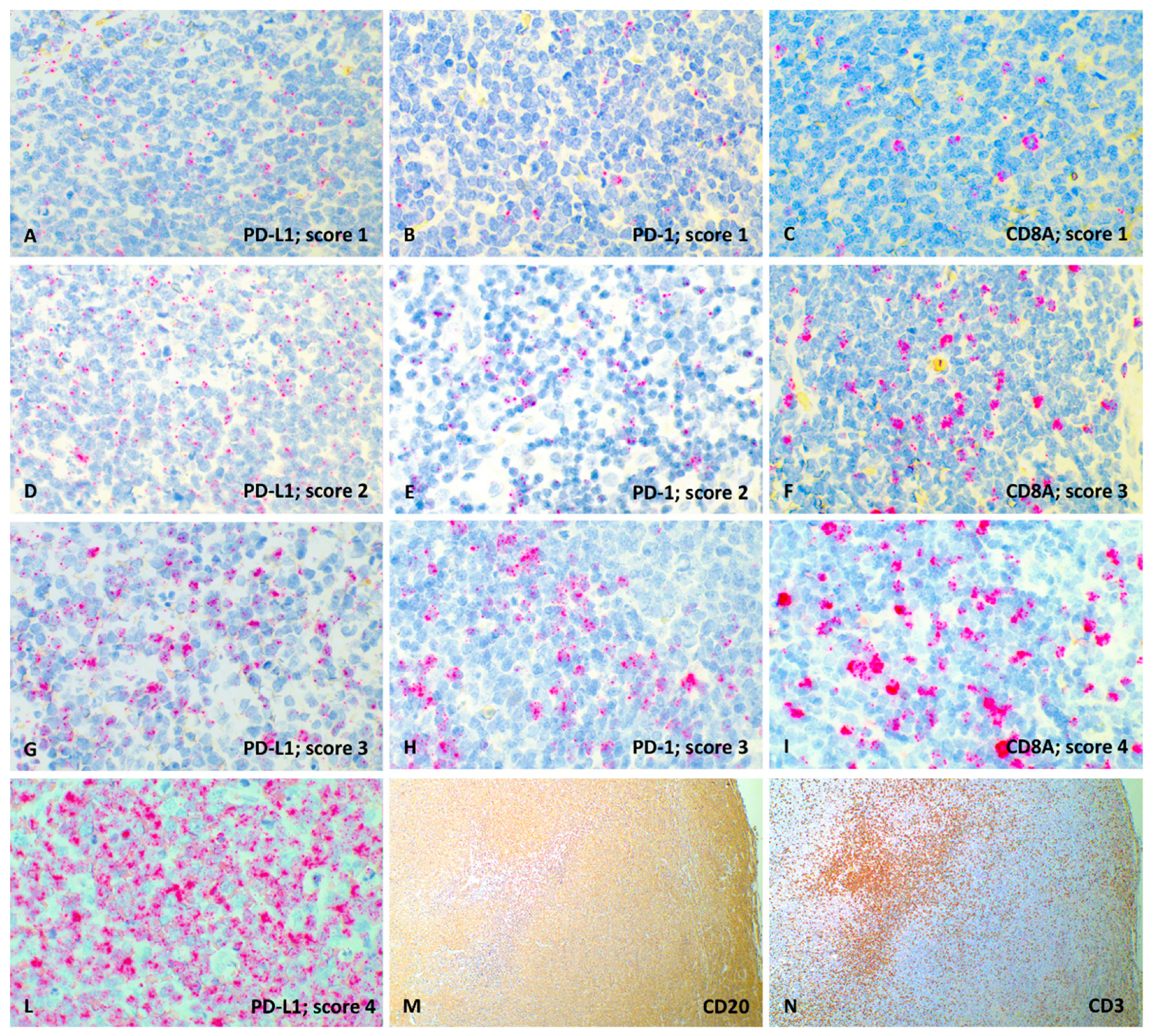 Vetsci 08 00120 g002