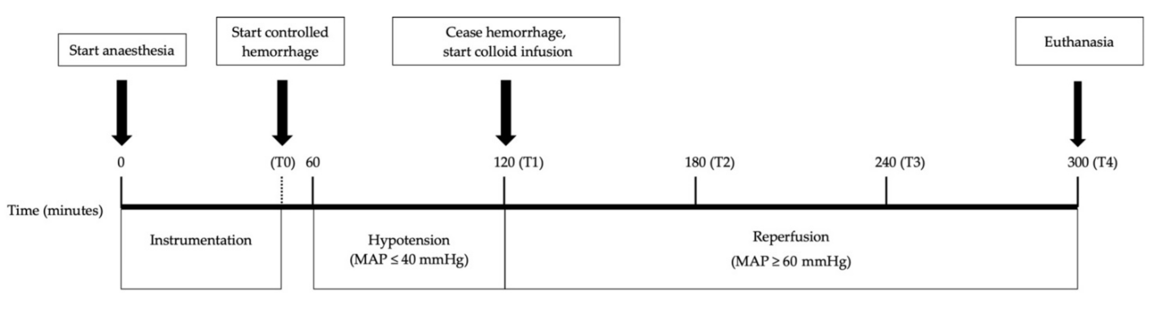 Vetsci 08 00129 g001 Vetsci 08 00129 g001