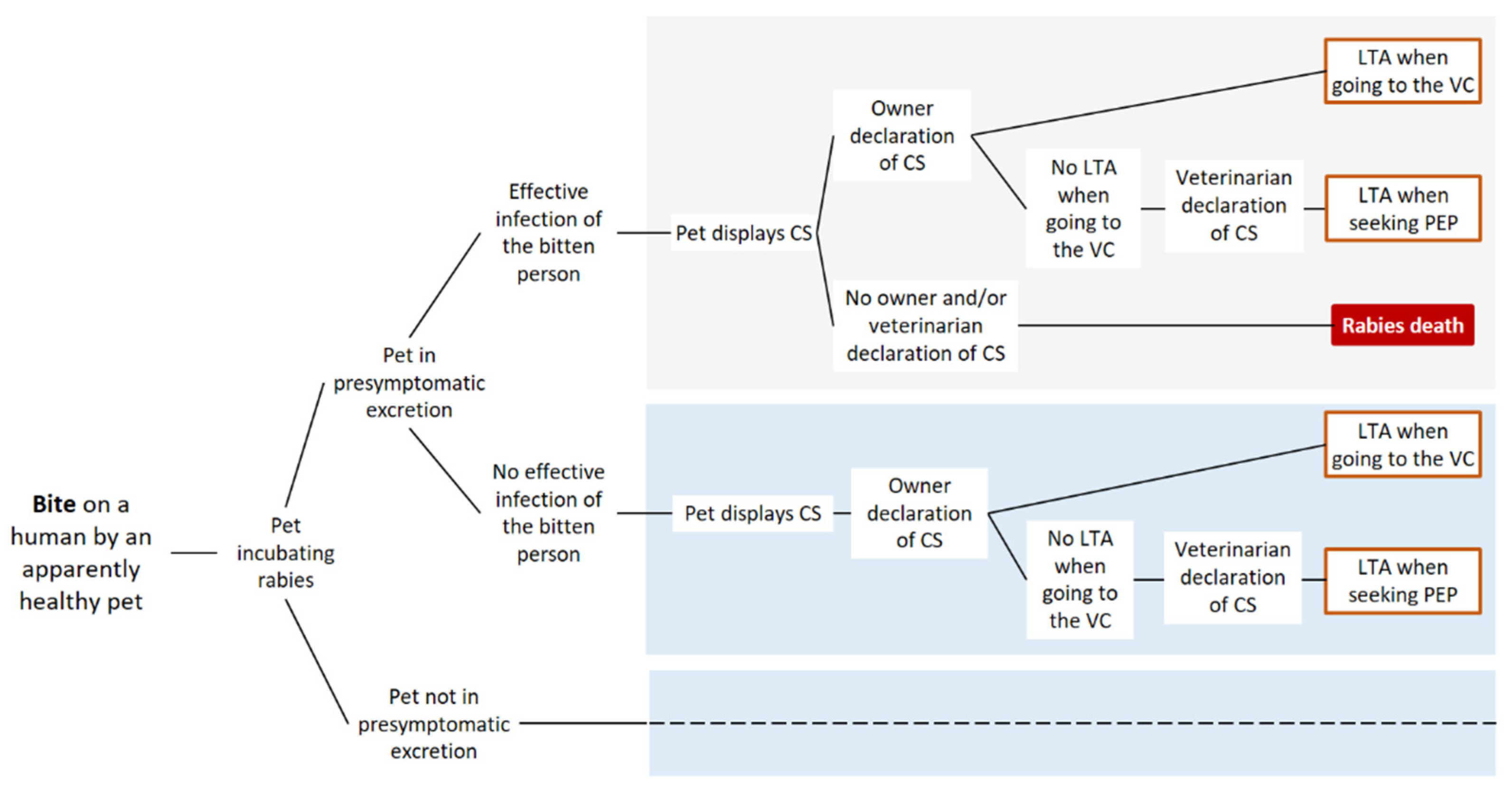 Vetsci 08 00132 g002 550