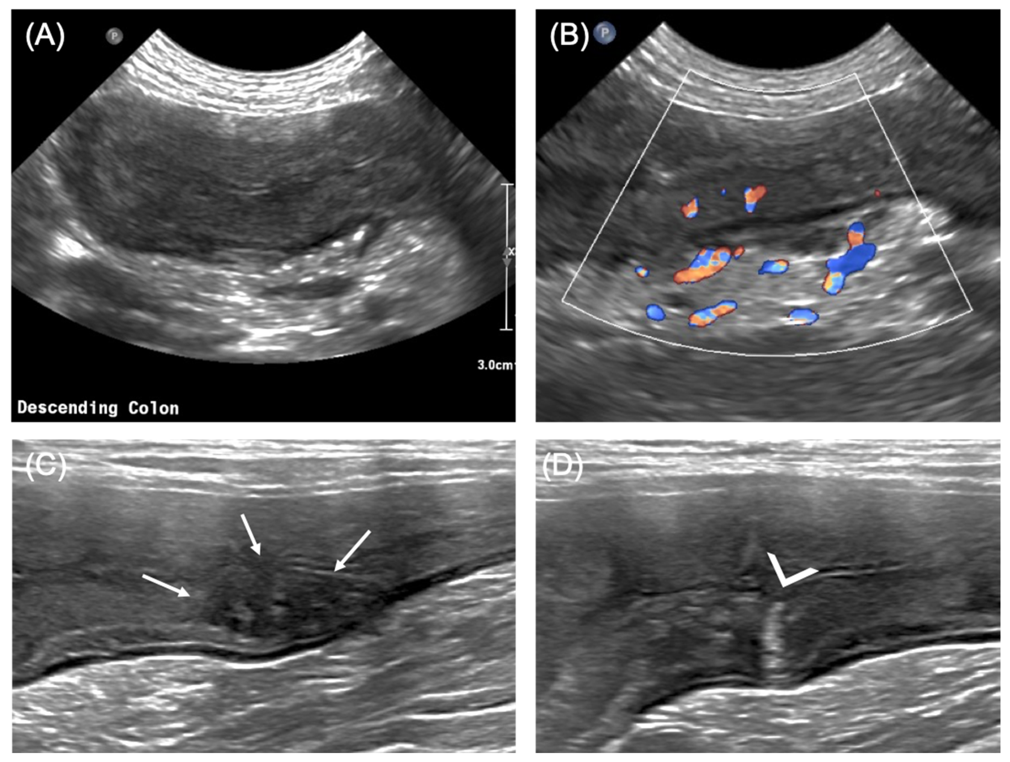 Vetsci 08 00133 g001