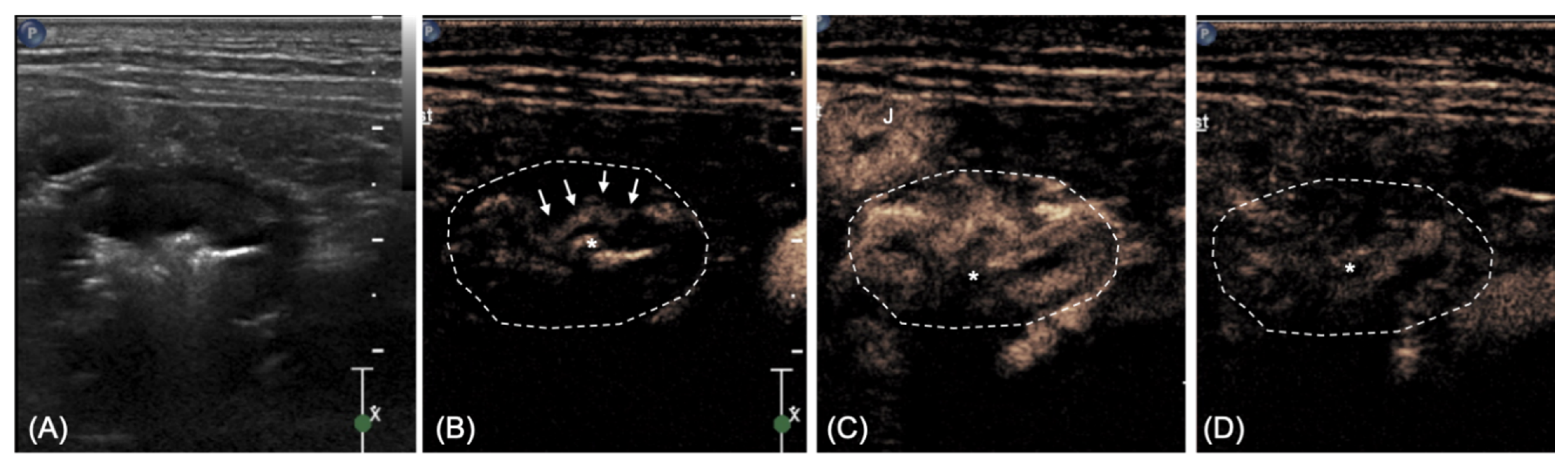 Vetsci 08 00133 g002