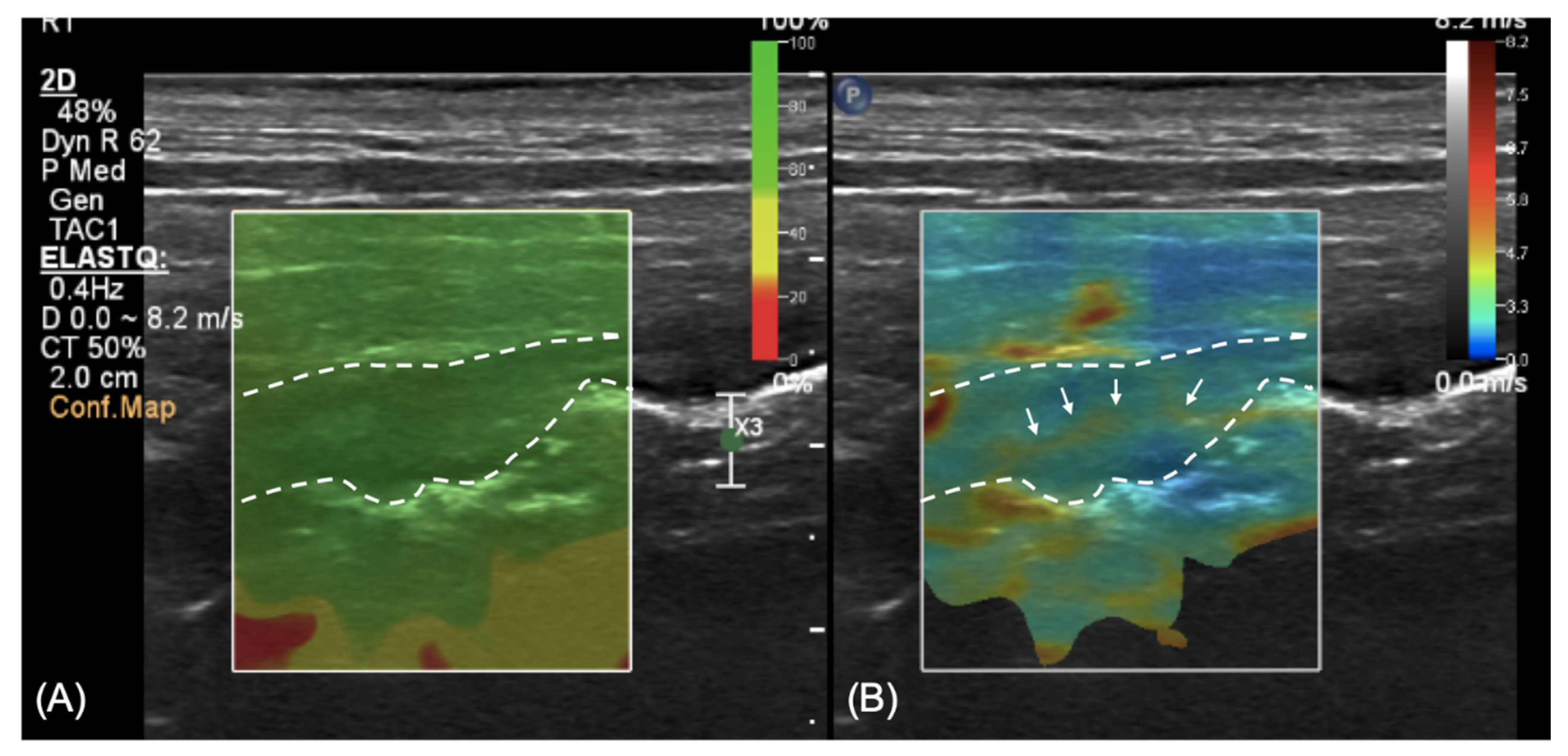 Vetsci 08 00133 g003