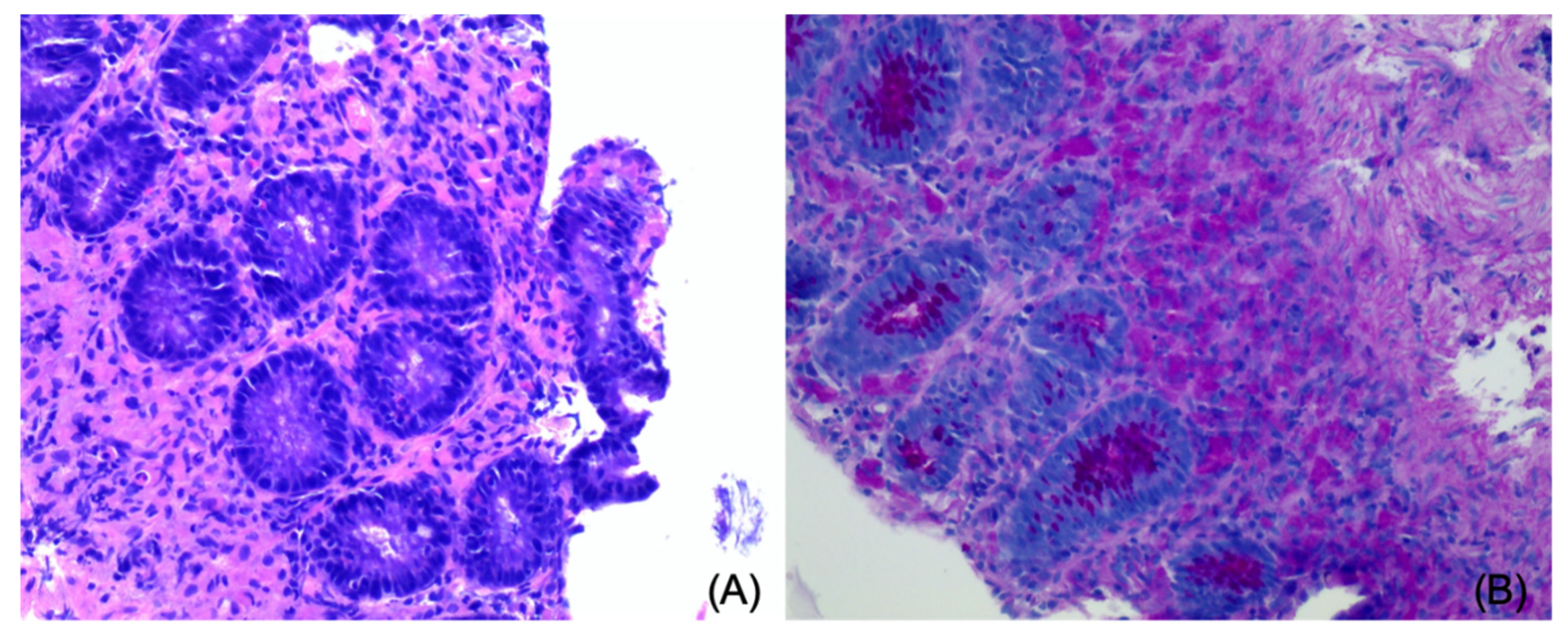 Vetsci 08 00133 g004