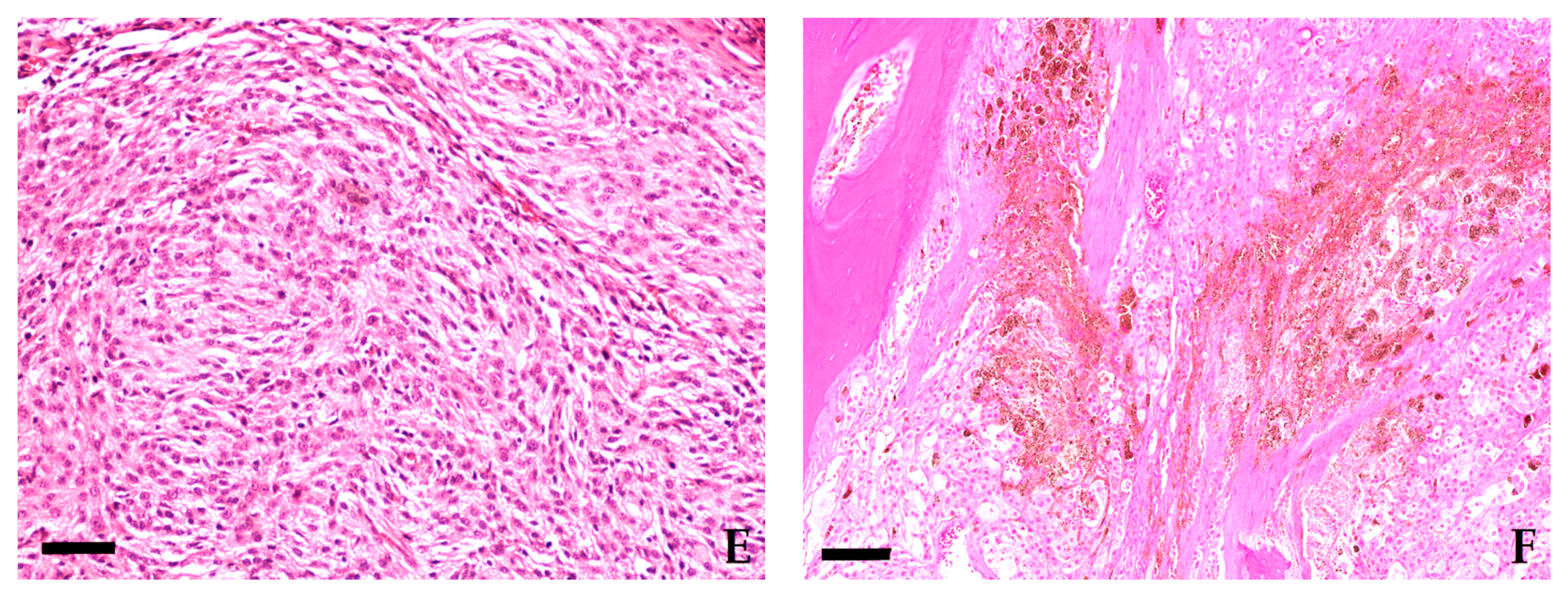 Vetsci 08 00136 g004b 550