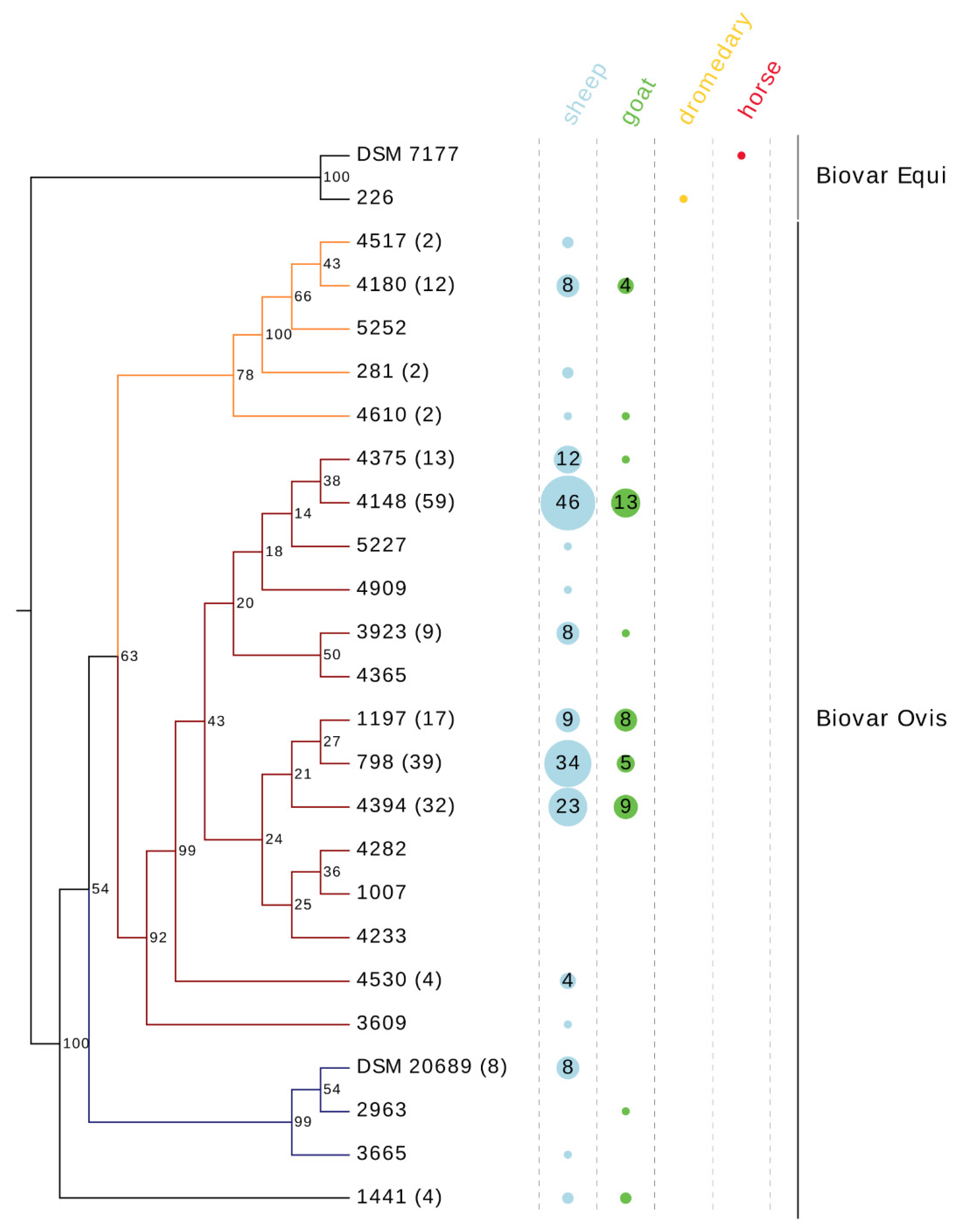 Vetsci 08 00151 g002 550