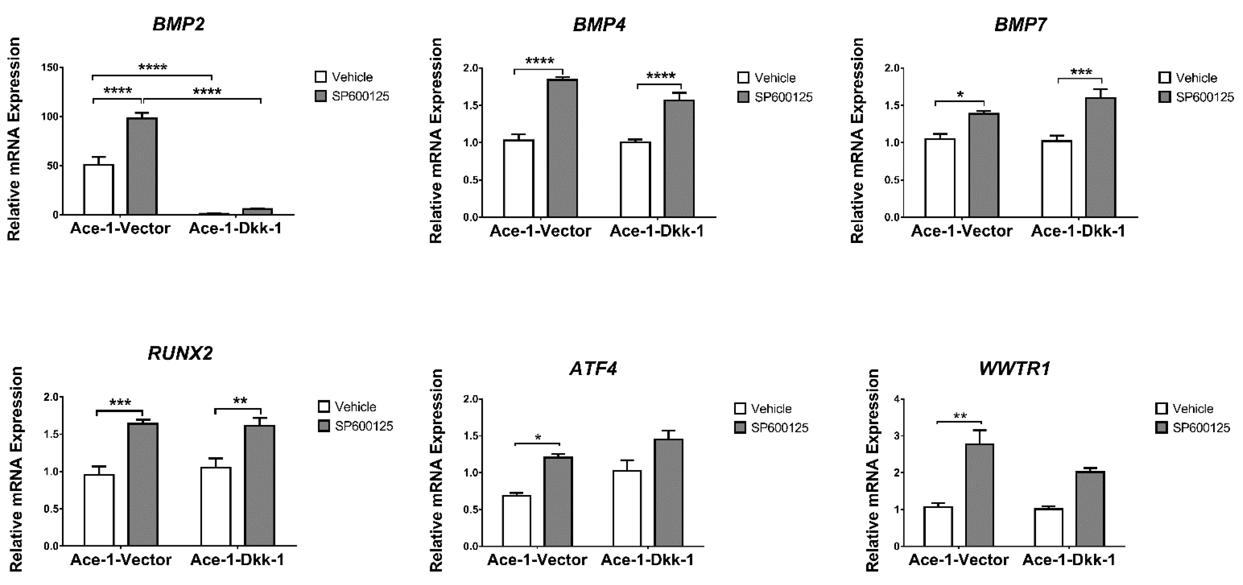 Vetsci 08 00153 g004 Vetsci 08 00153 g004