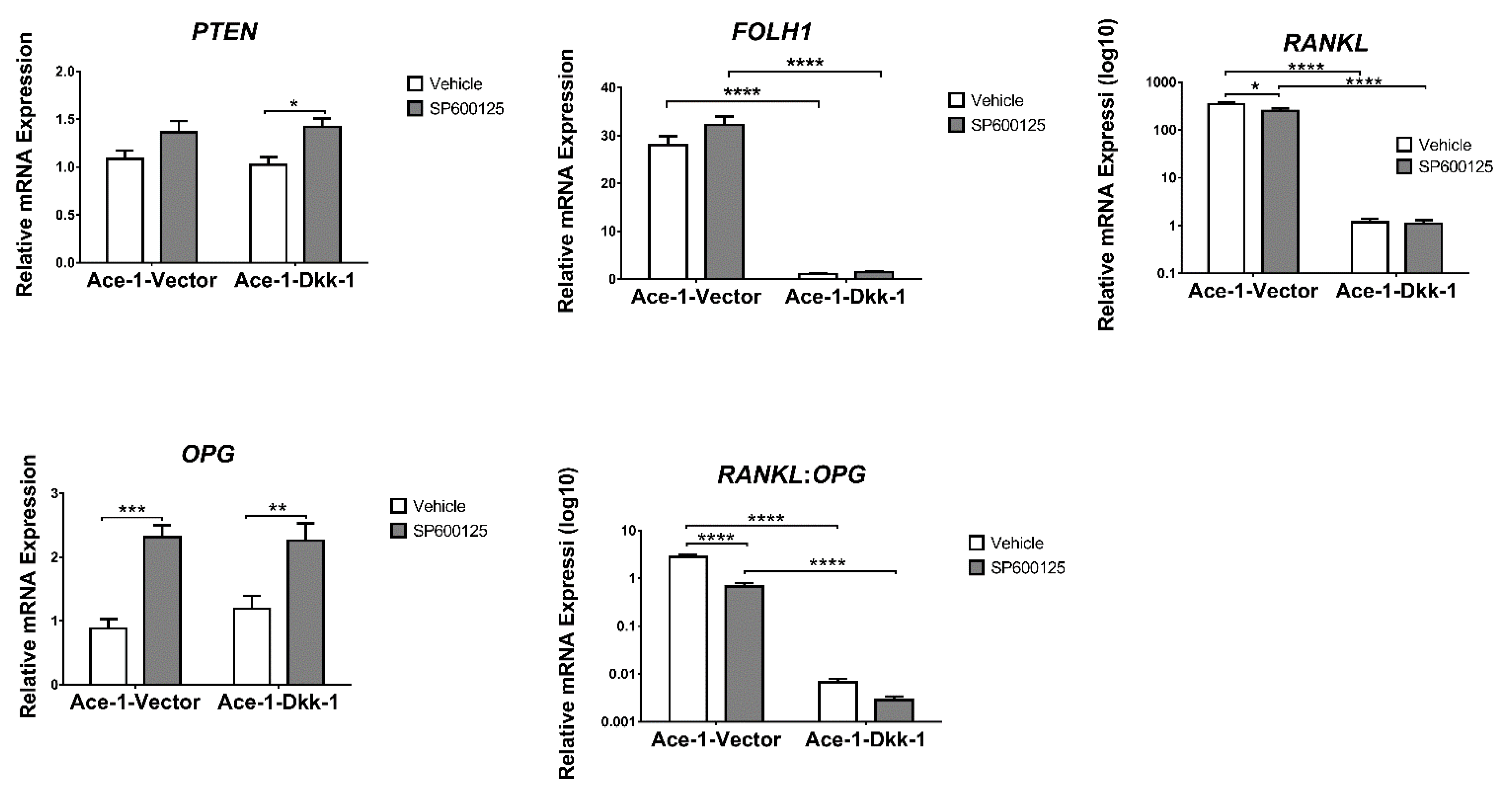 Vetsci 08 00153 g005 Vetsci 08 00153 g005