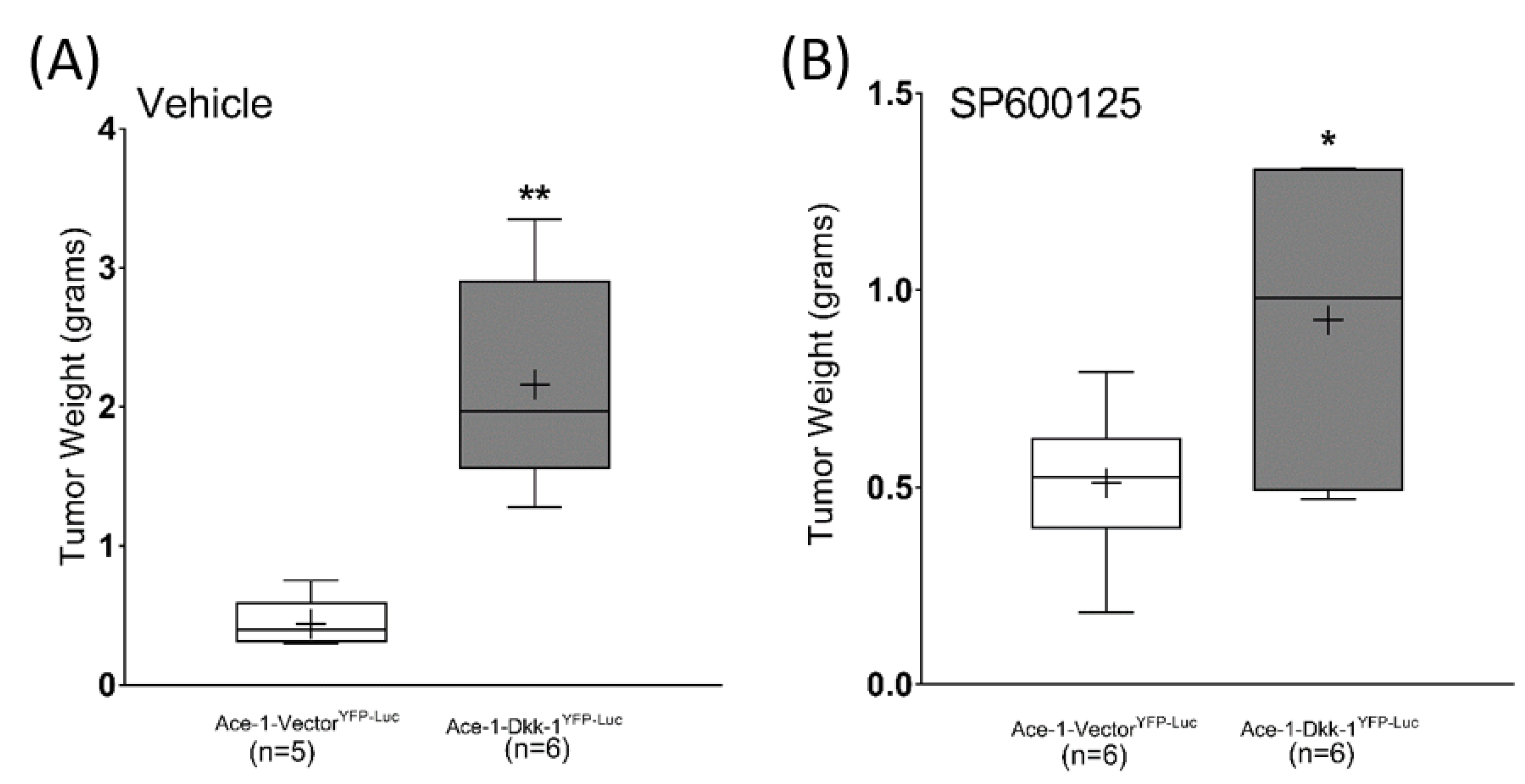 Vetsci 08 00153 g006 Vetsci 08 00153 g006