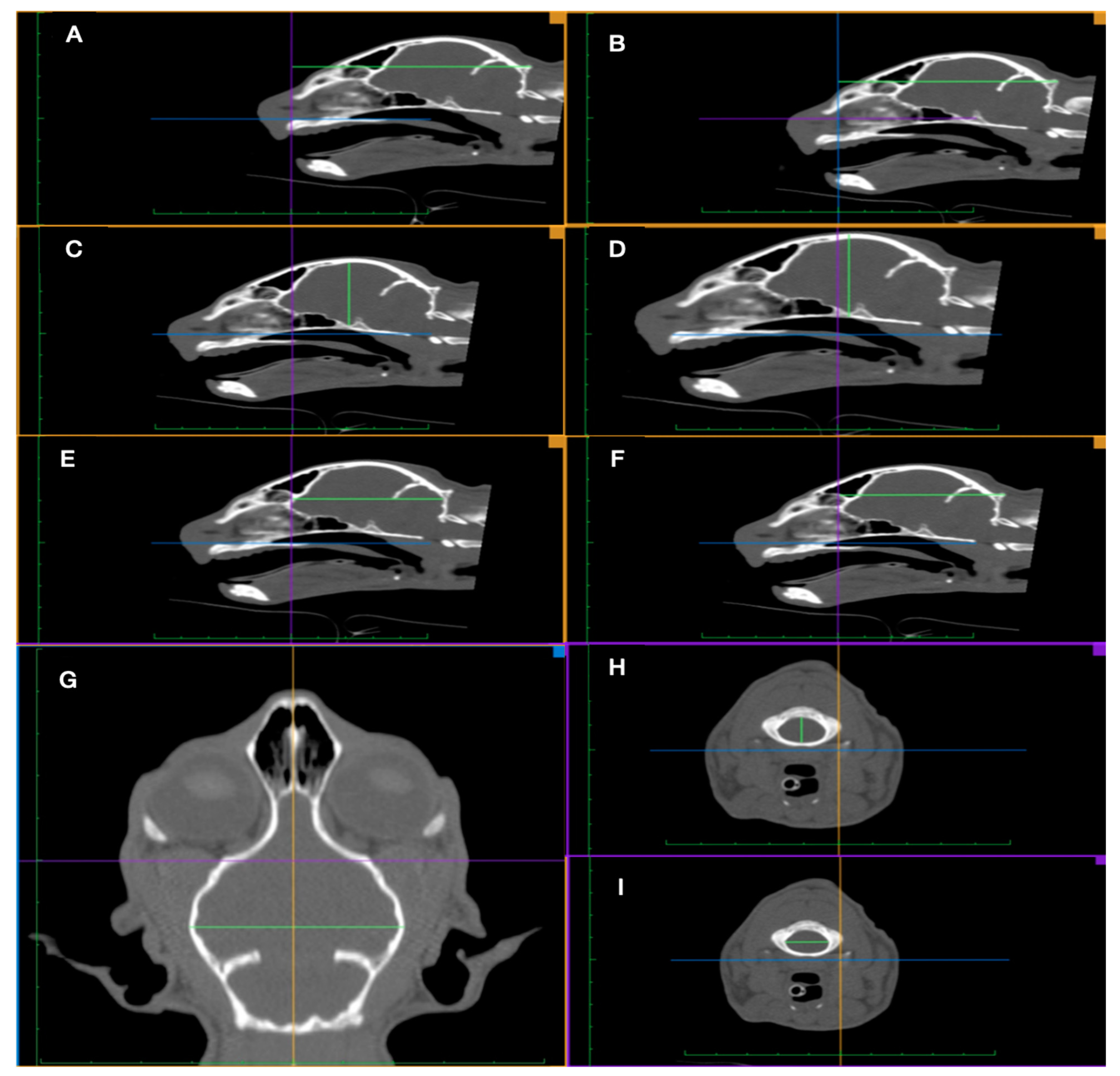 Vetsci 08 00161 g001 550