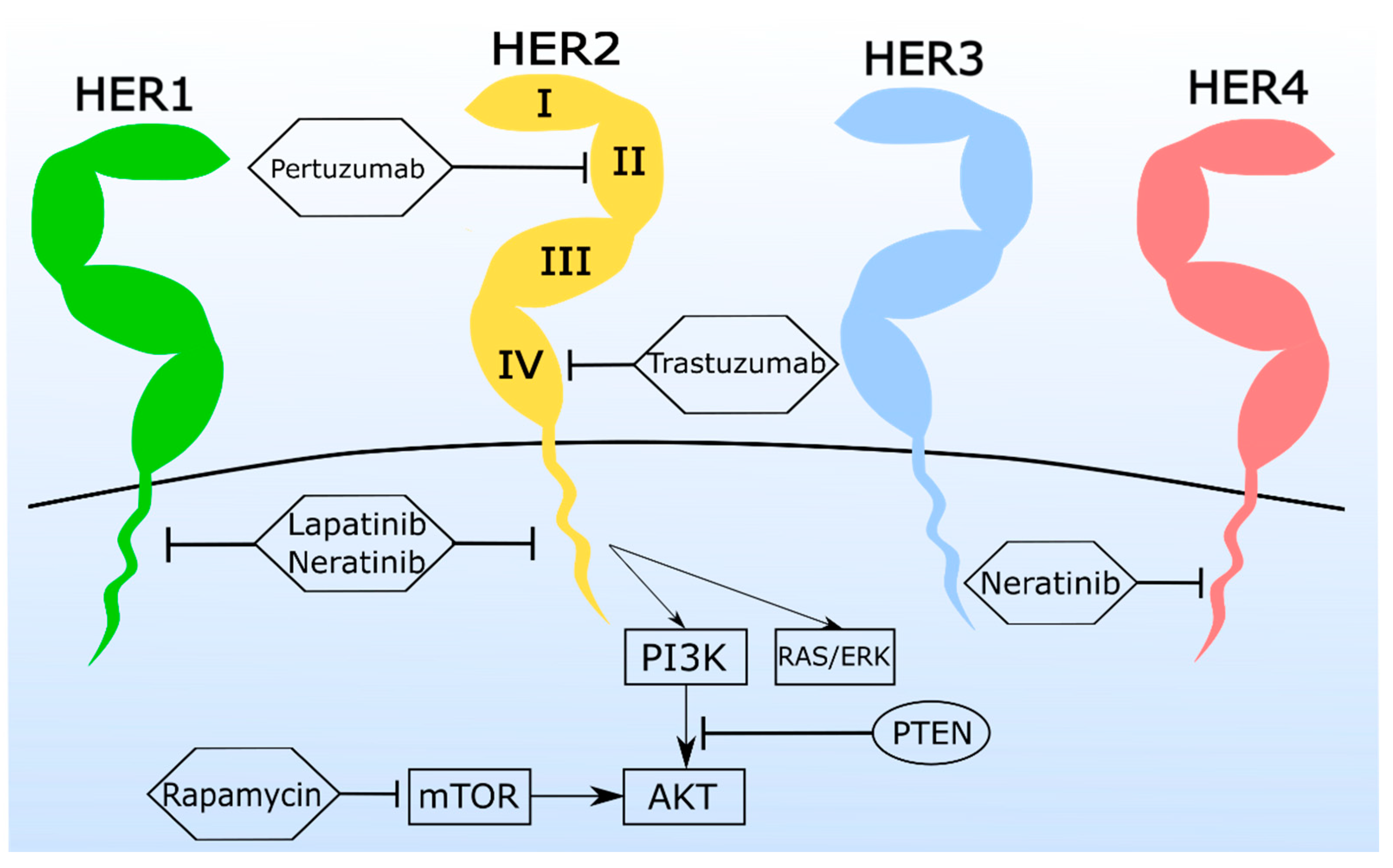 Vetsci 08 00164 g003 Vetsci 08 00164 g003