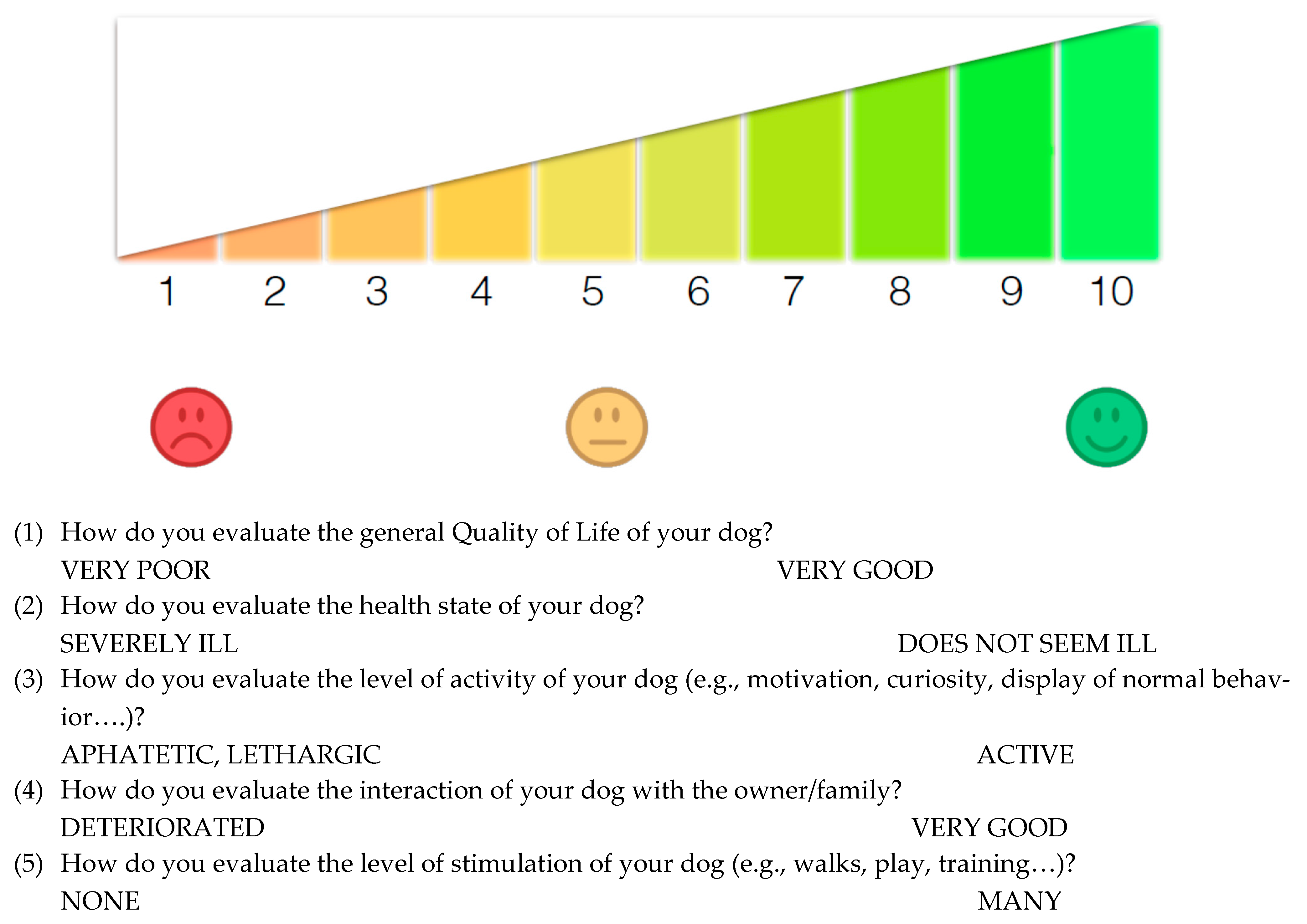 Vetsci 08 00166 g001
