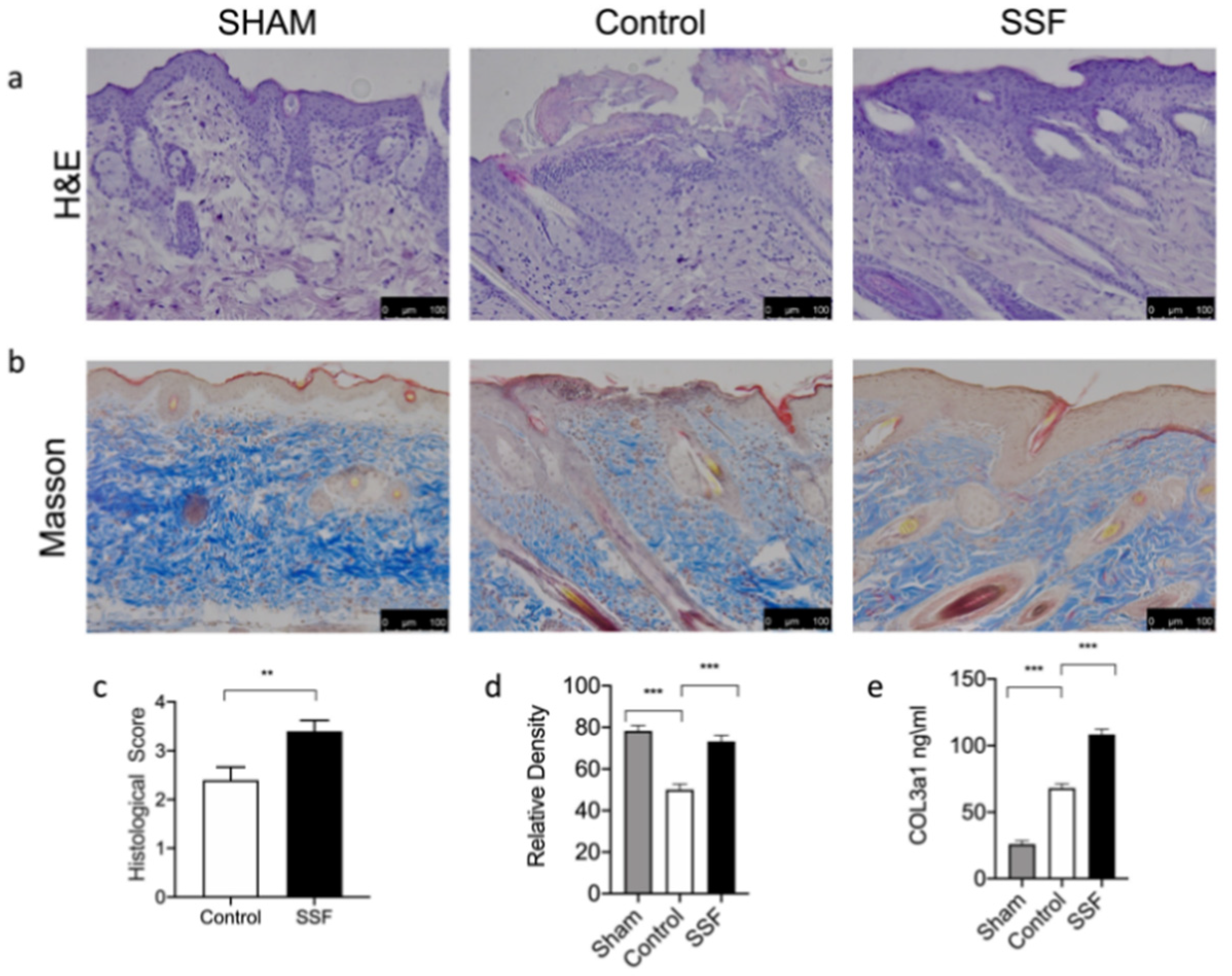 Vetsci 08 00167 g002