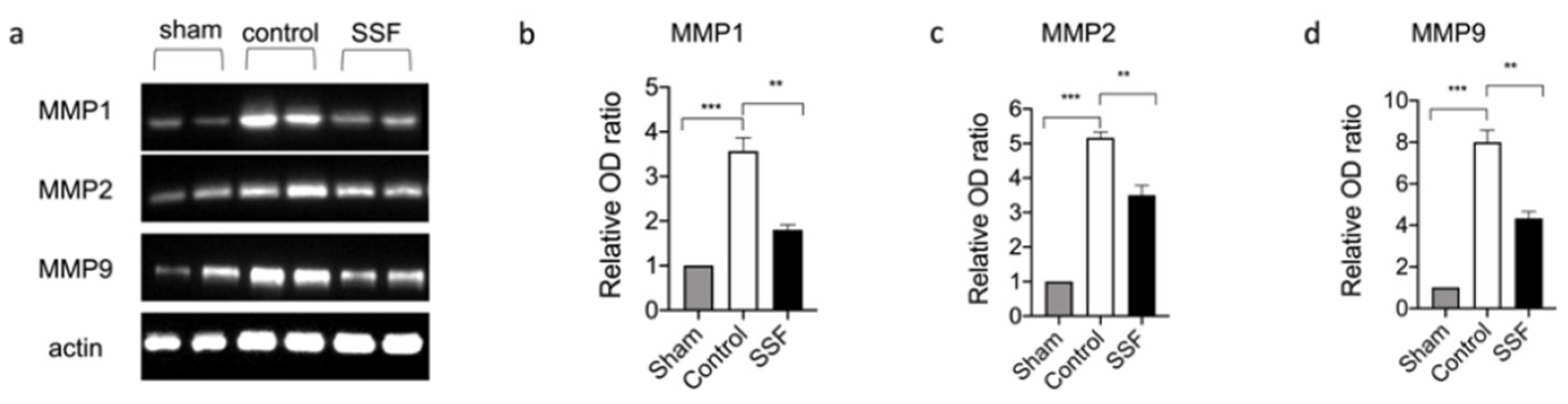 Vetsci 08 00167 g003