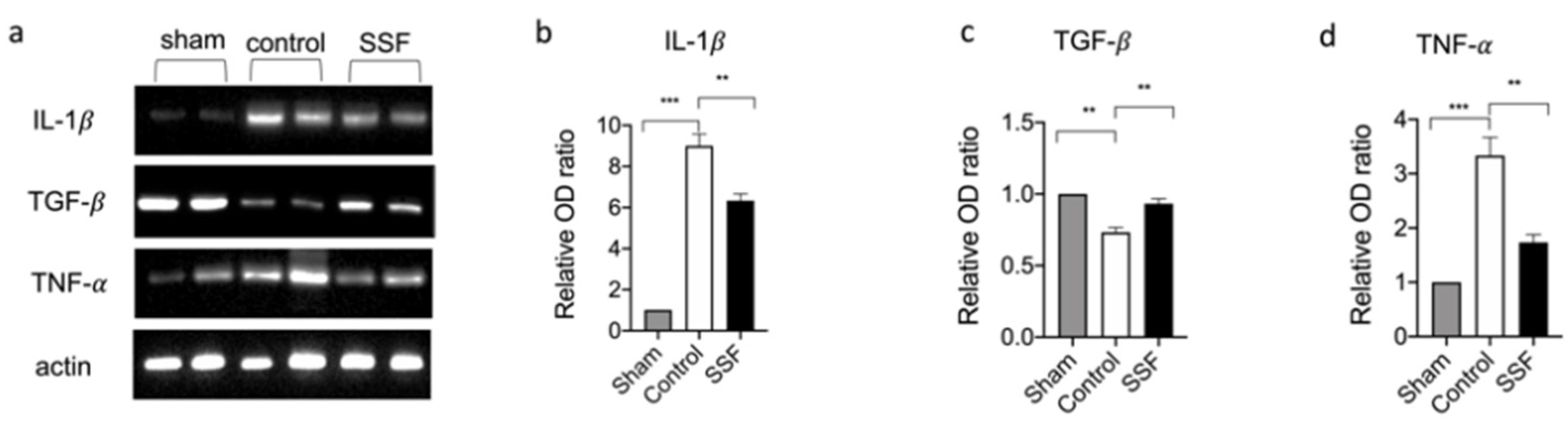 Vetsci 08 00167 g006