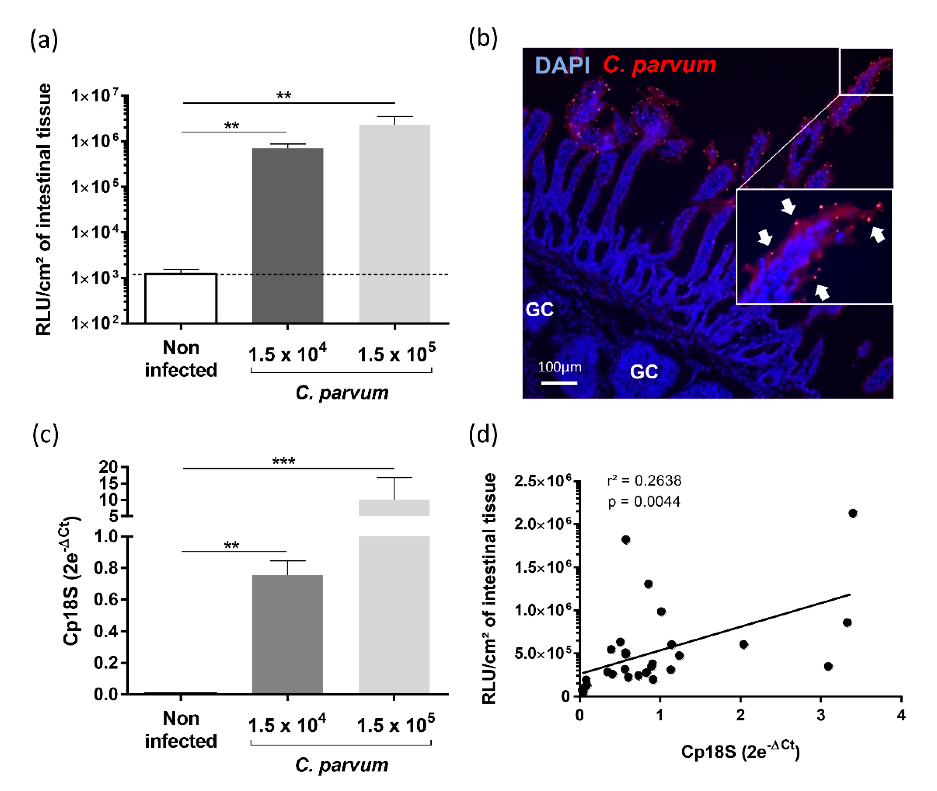 Vetsci 08 00170 g004 550