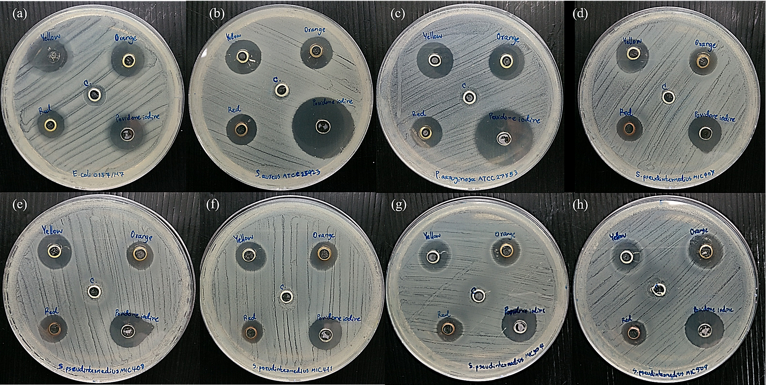 Vetsci 08 00177 g005