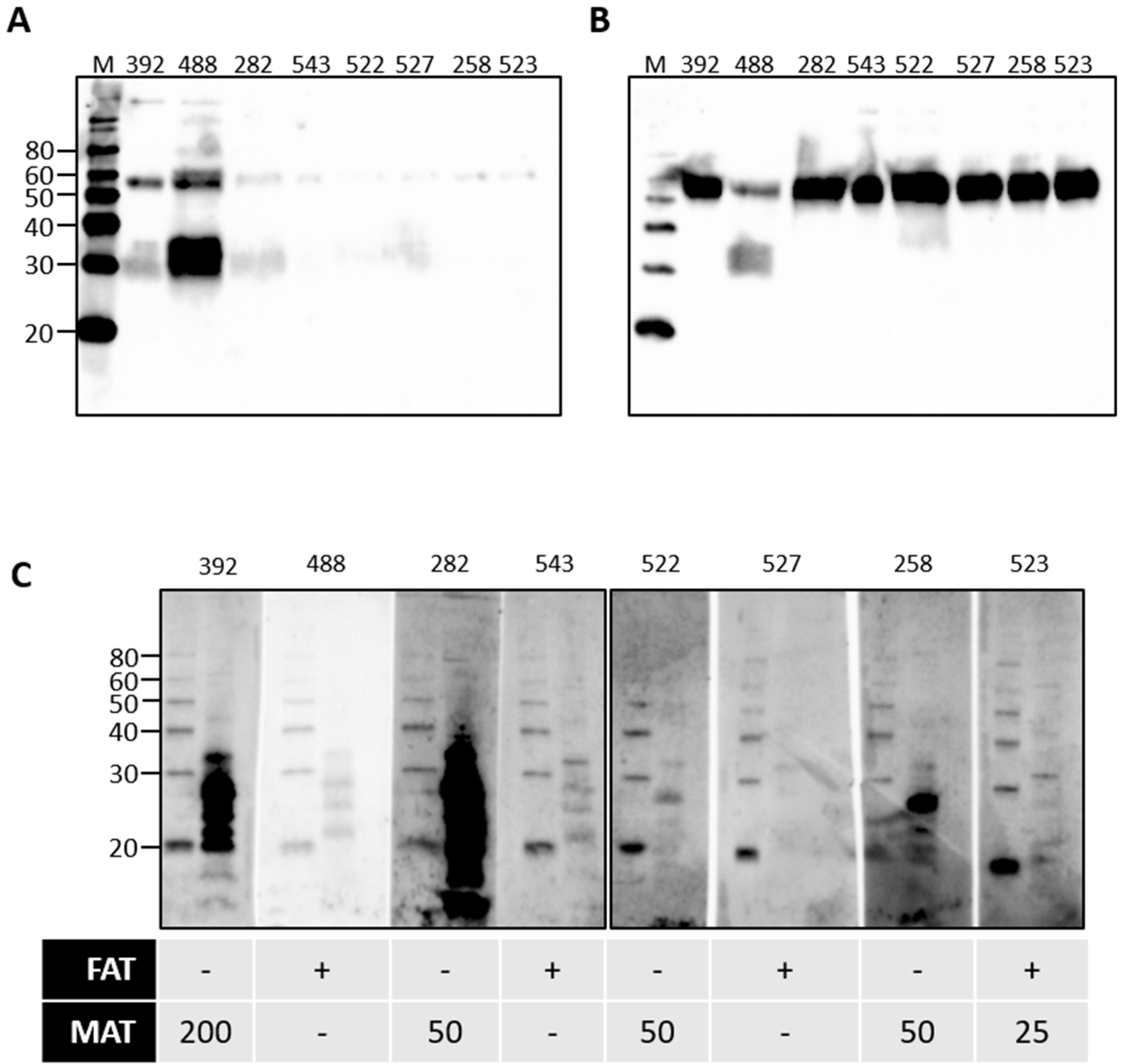 Vetsci 08 00178 g005 550