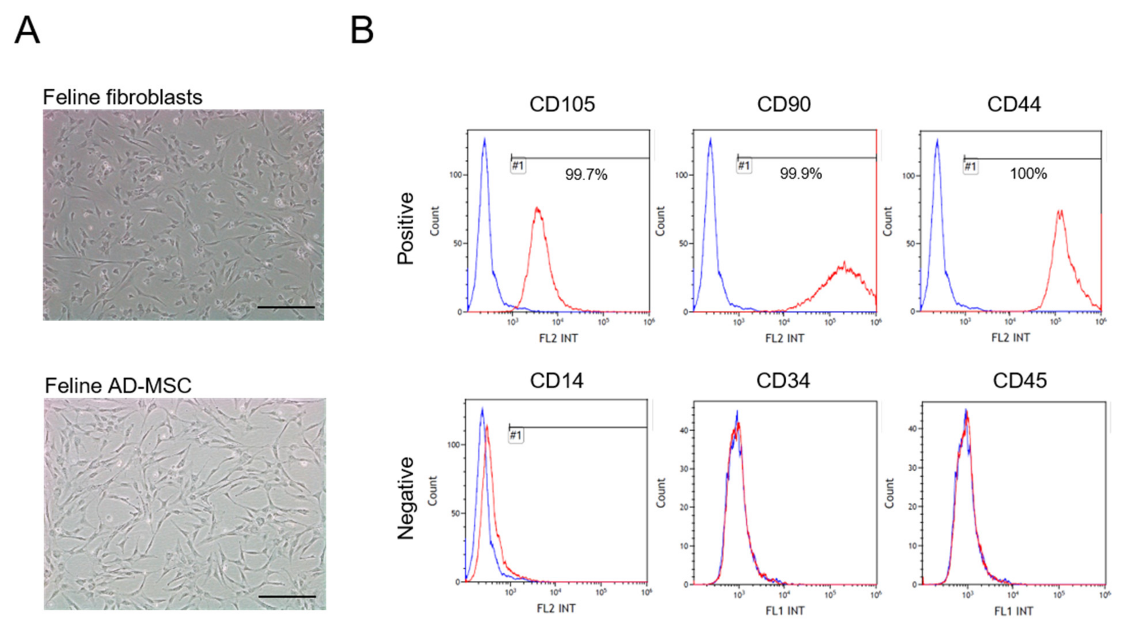 Vetsci 08 00182 g001 550