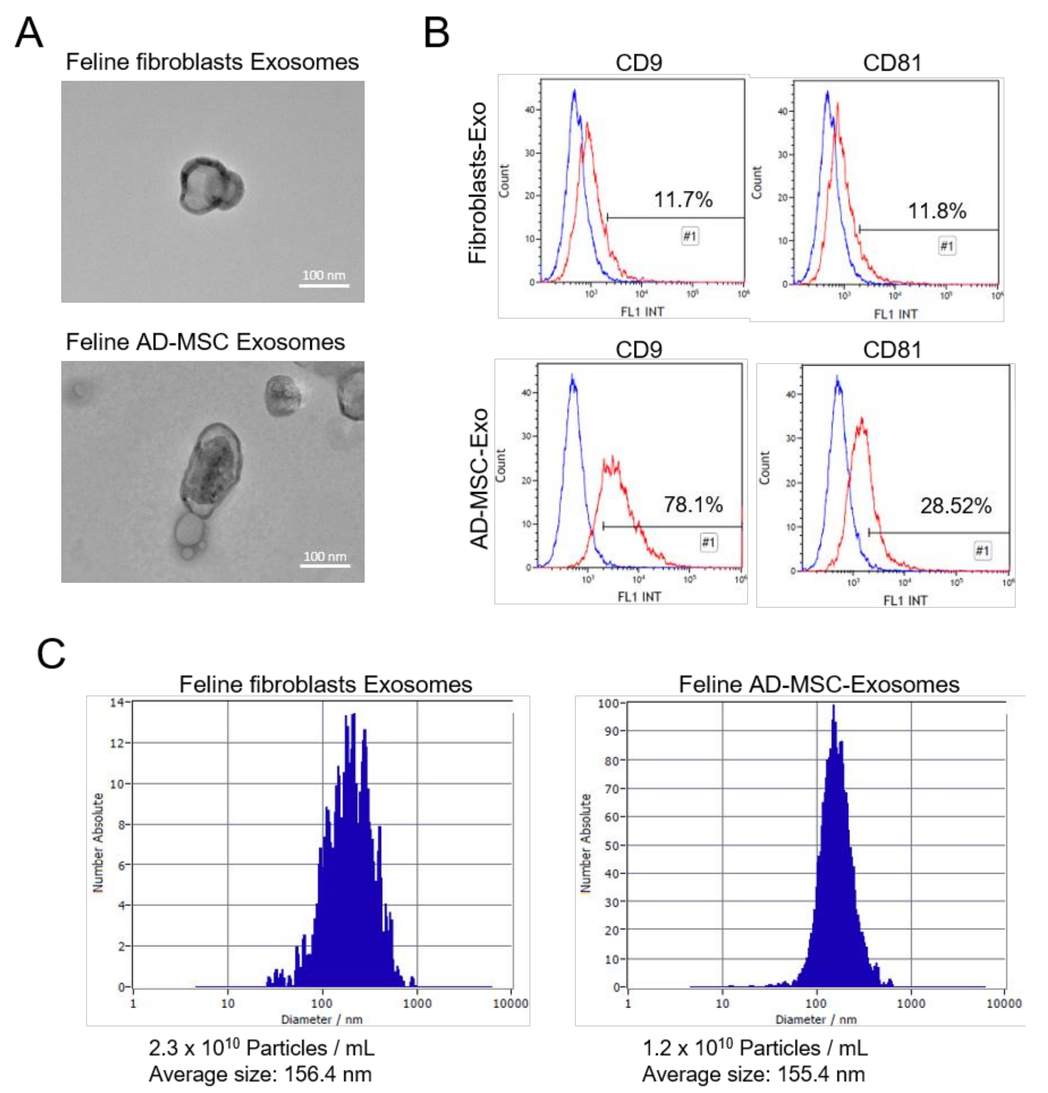 Vetsci 08 00182 g002 550