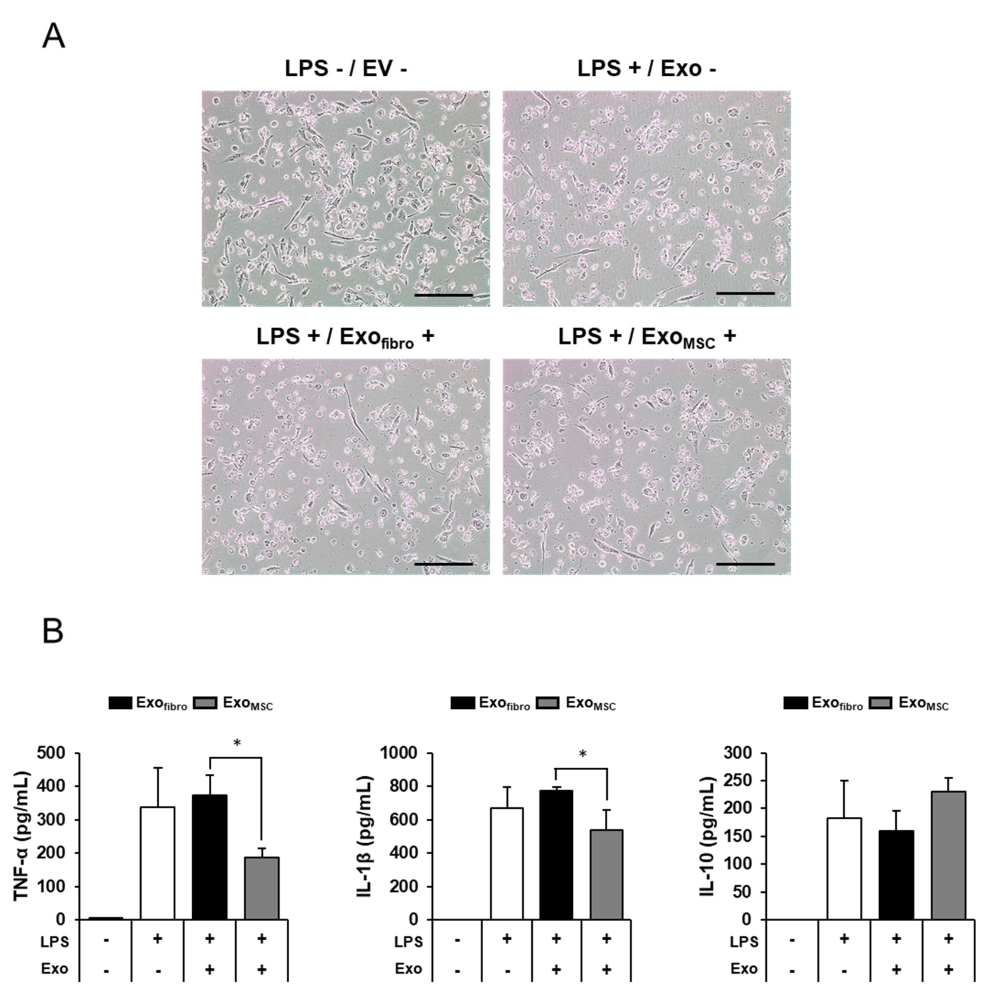 Vetsci 08 00182 g004 550
