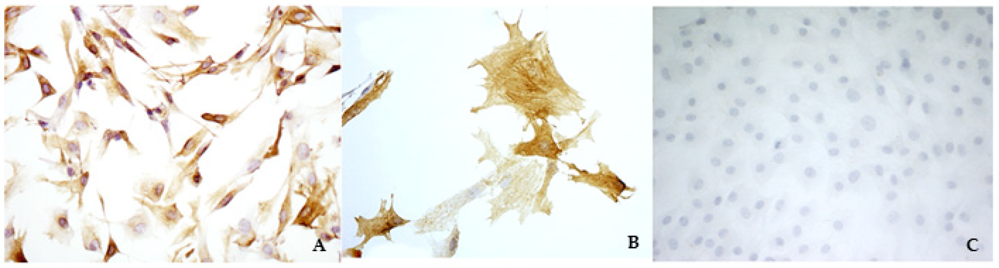 Vetsci 08 00183 g001 550