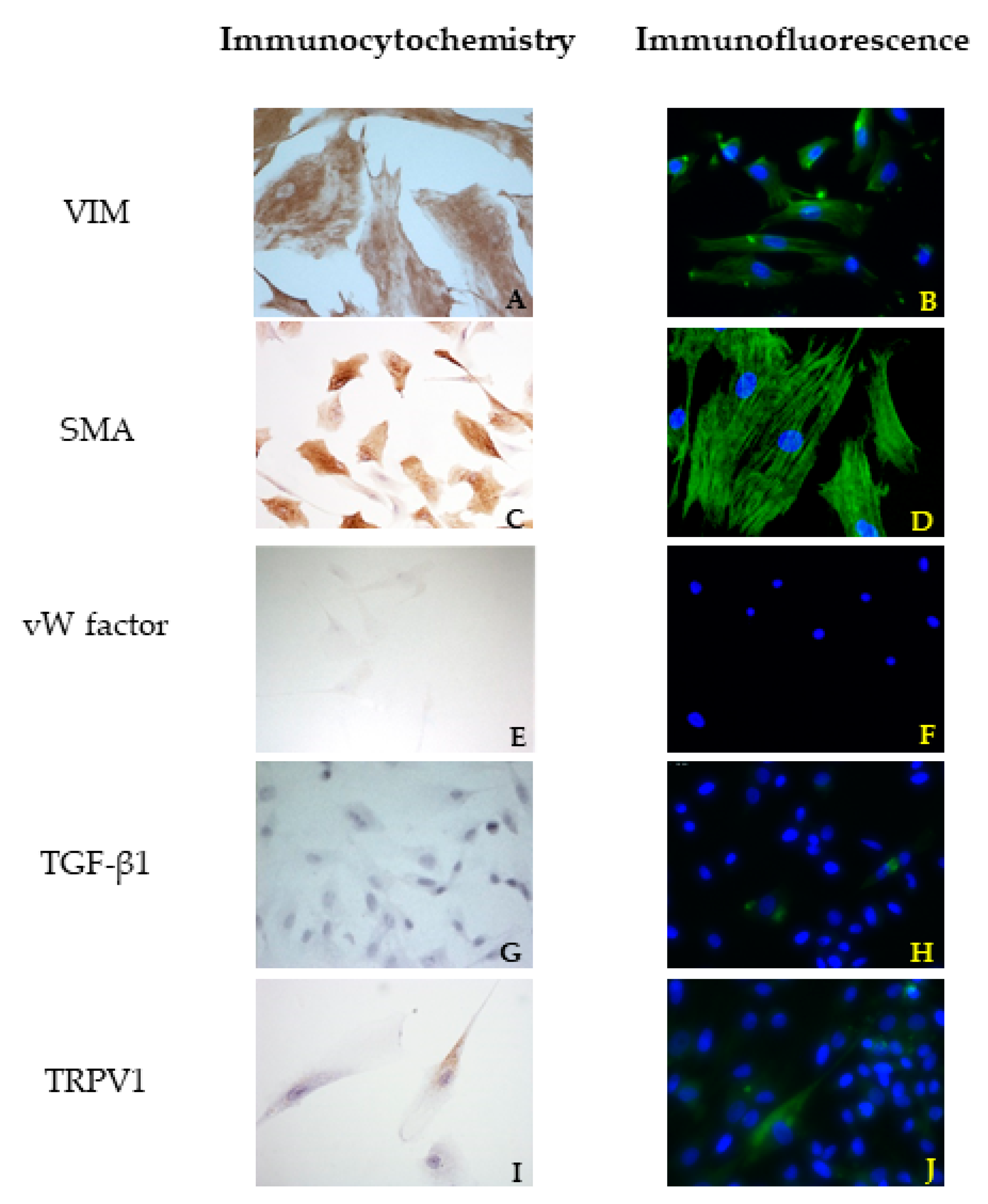 Vetsci 08 00183 g002 550
