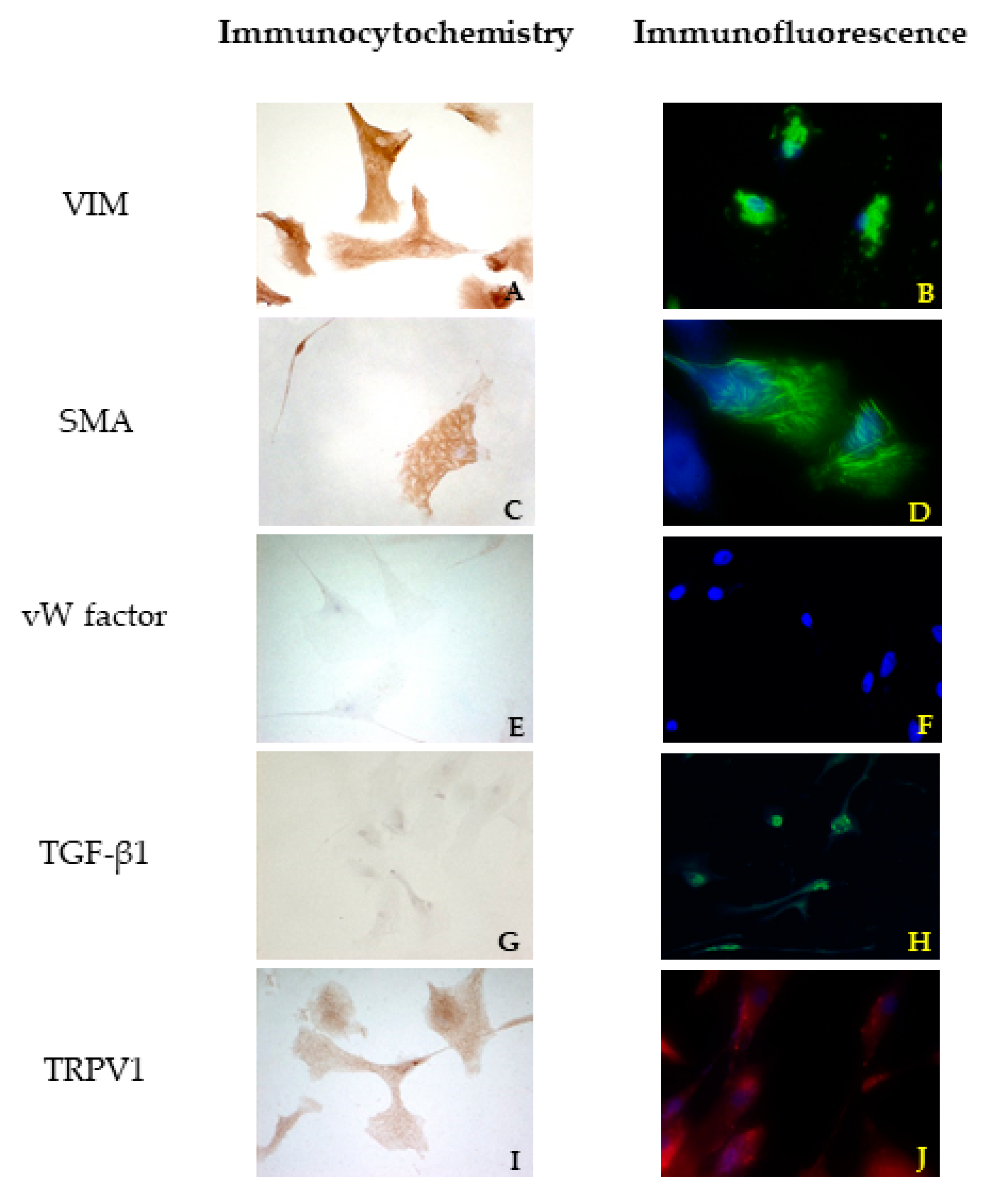 Vetsci 08 00183 g003 550