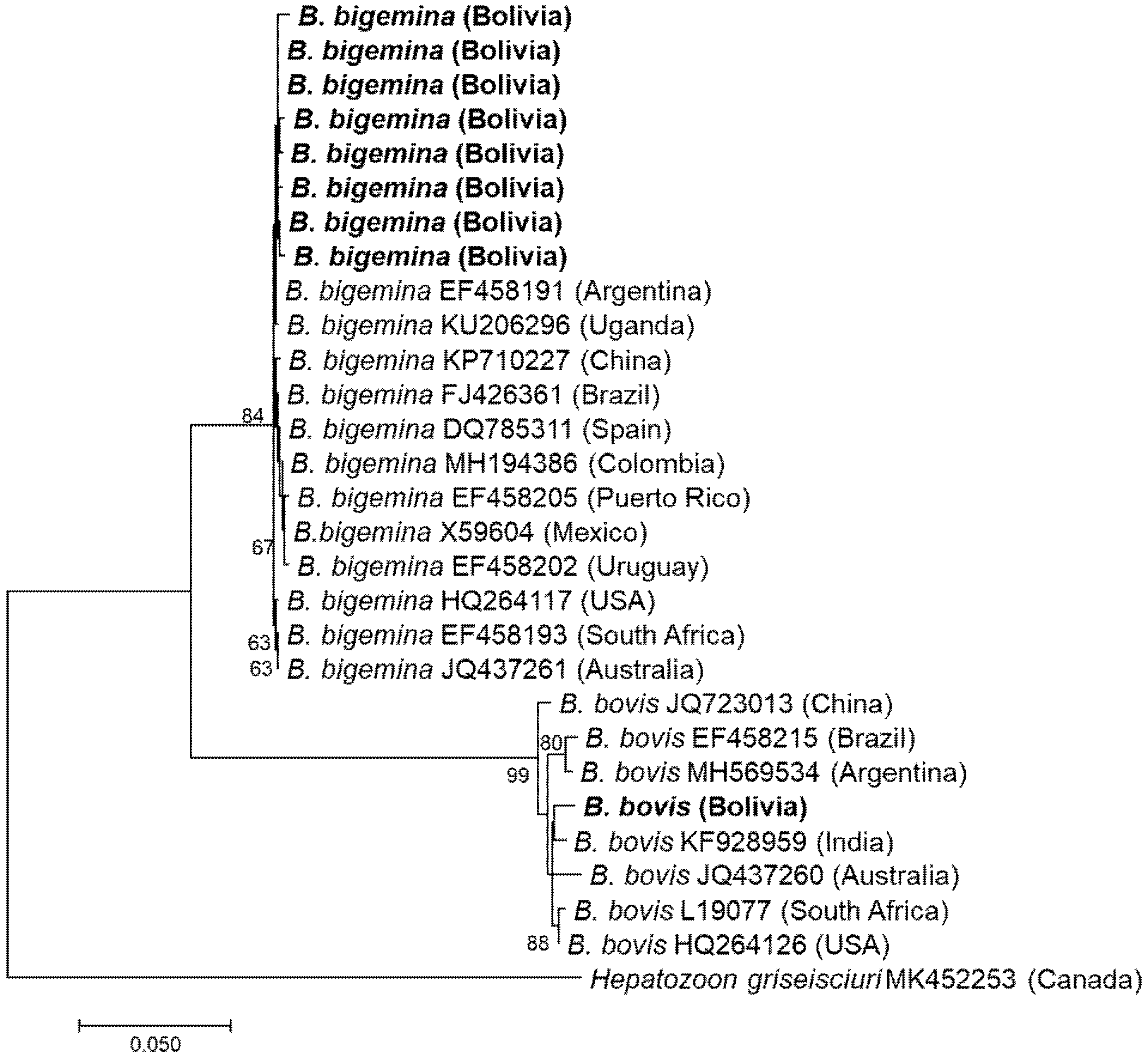 Vetsci 08 00188 g002