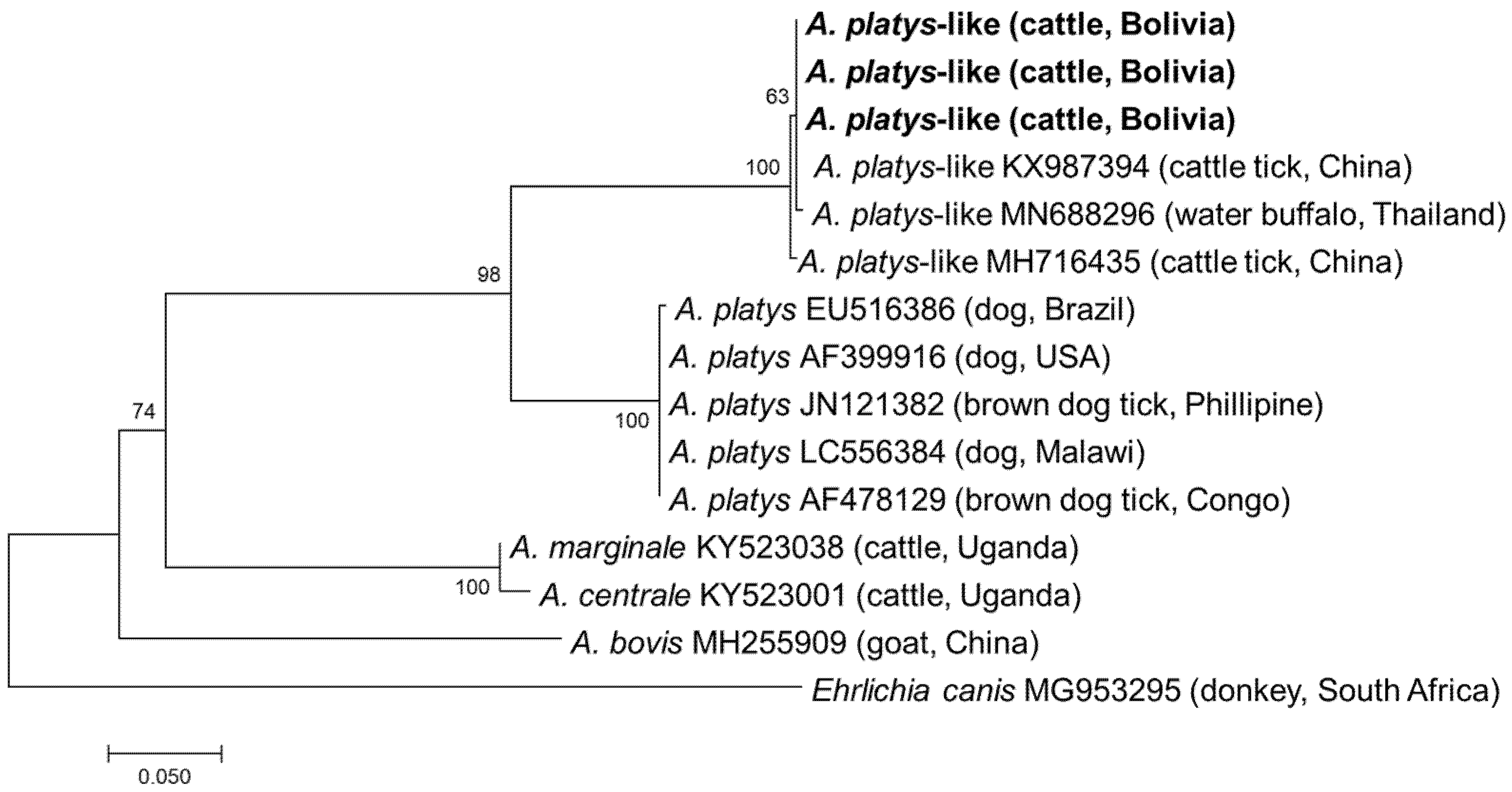 Vetsci 08 00188 g004