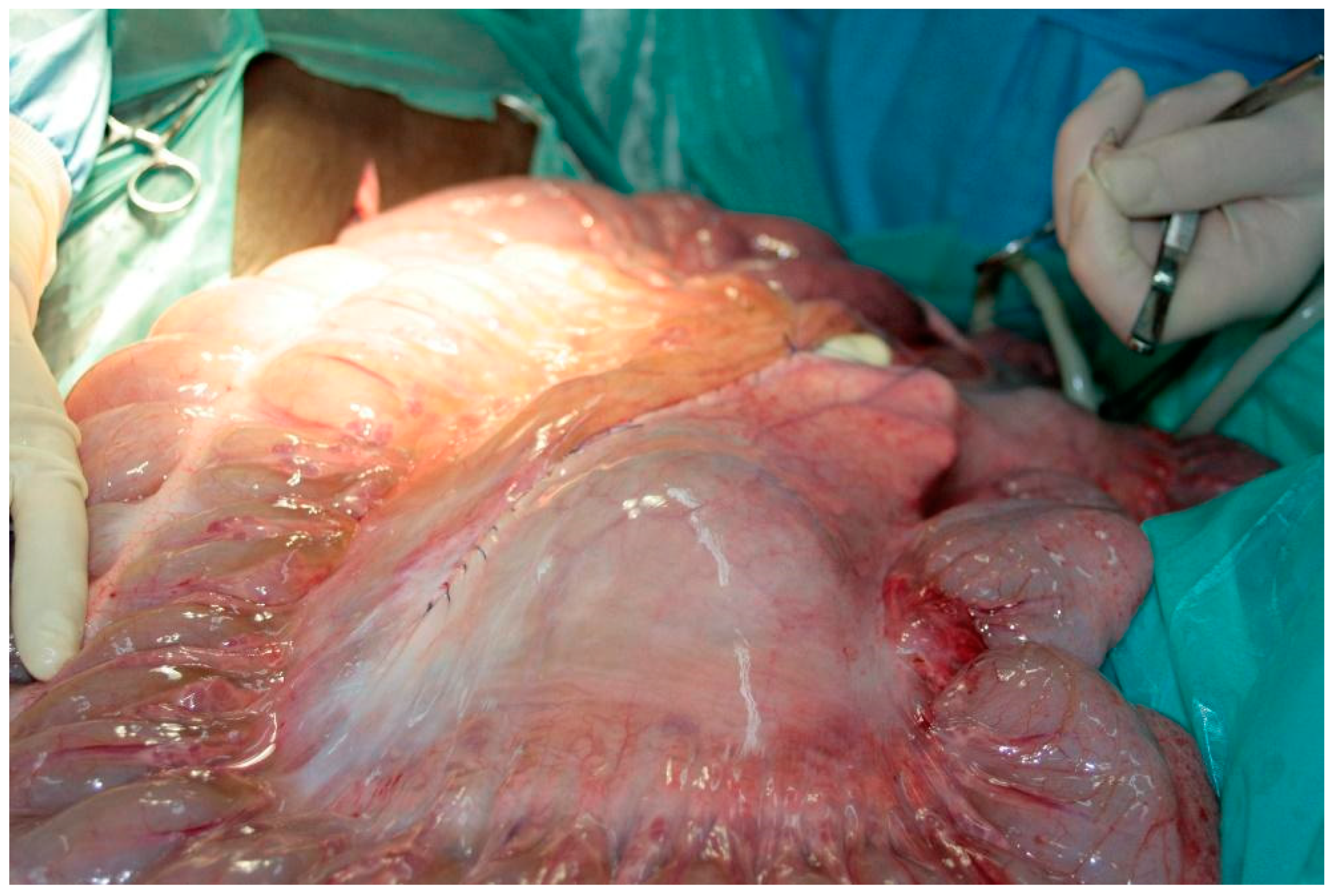 Vetsci 08 00193 g004