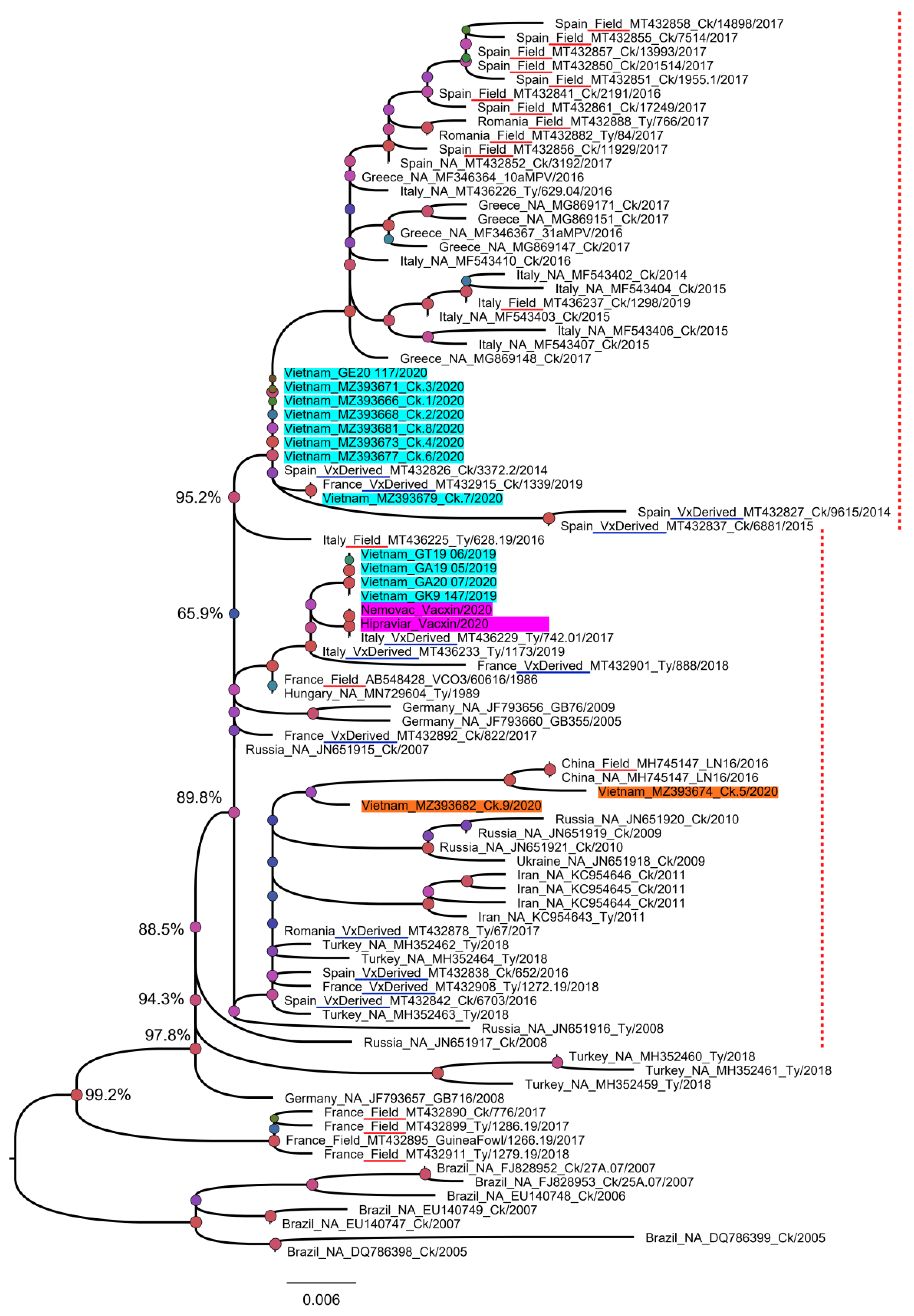 Vetsci 08 00206 g004