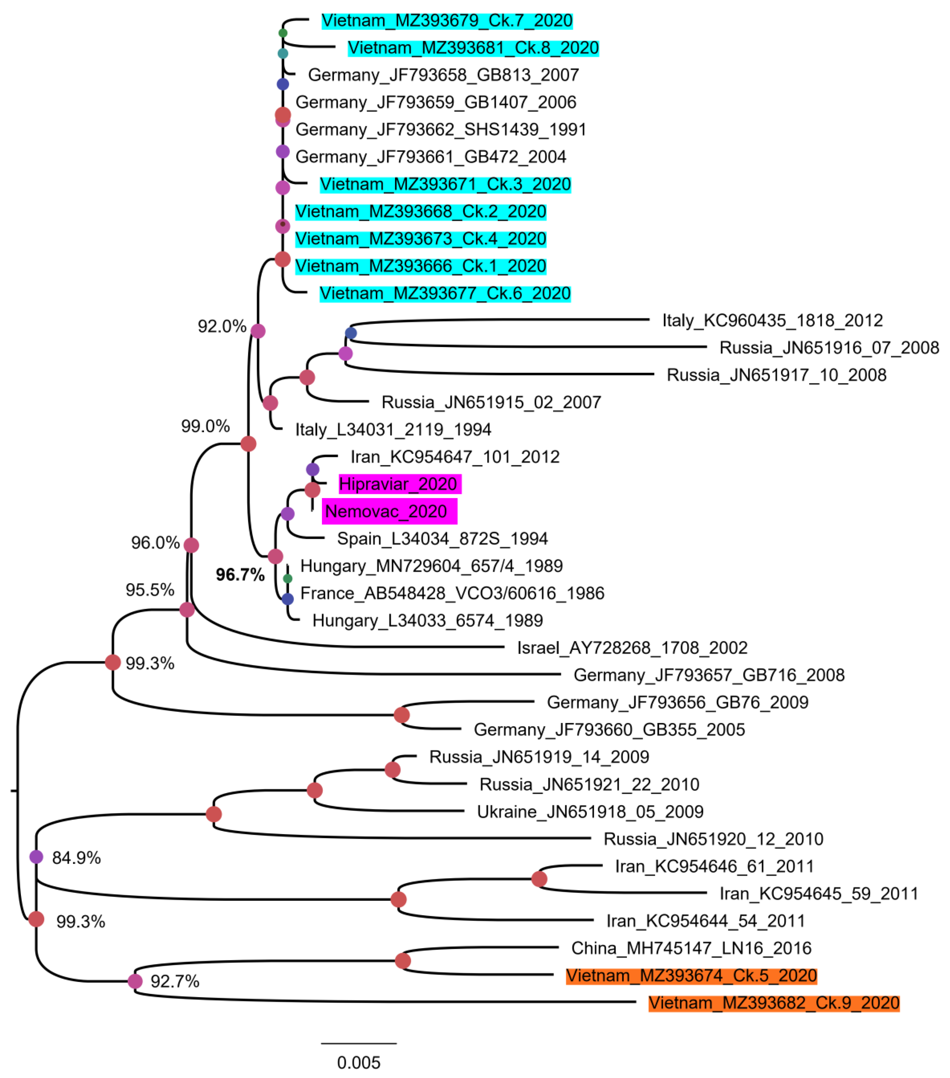 Vetsci 08 00206 g005