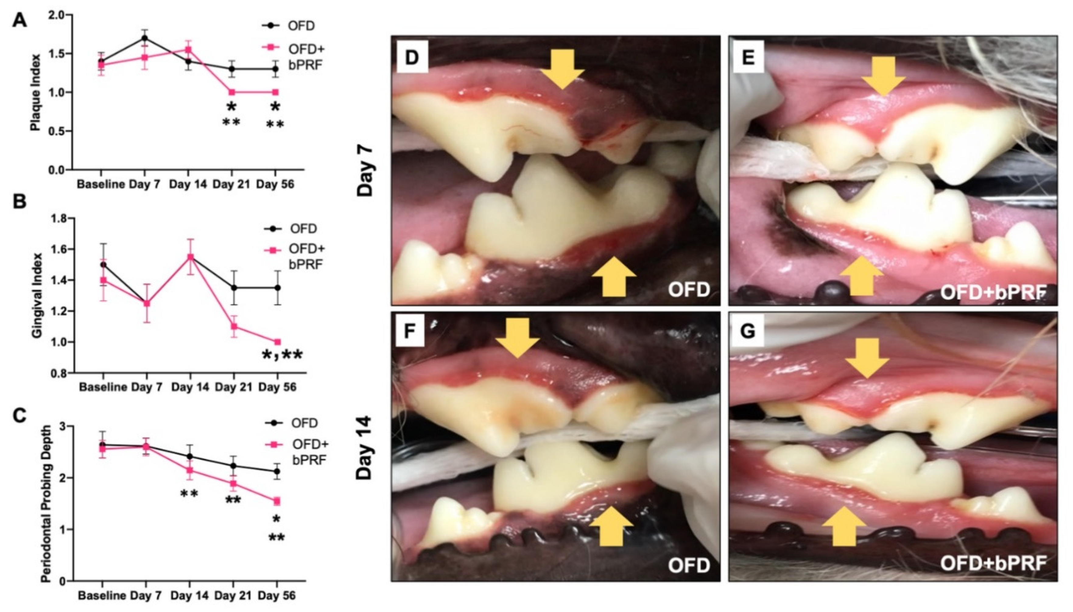 Vetsci 08 00210 g002 550