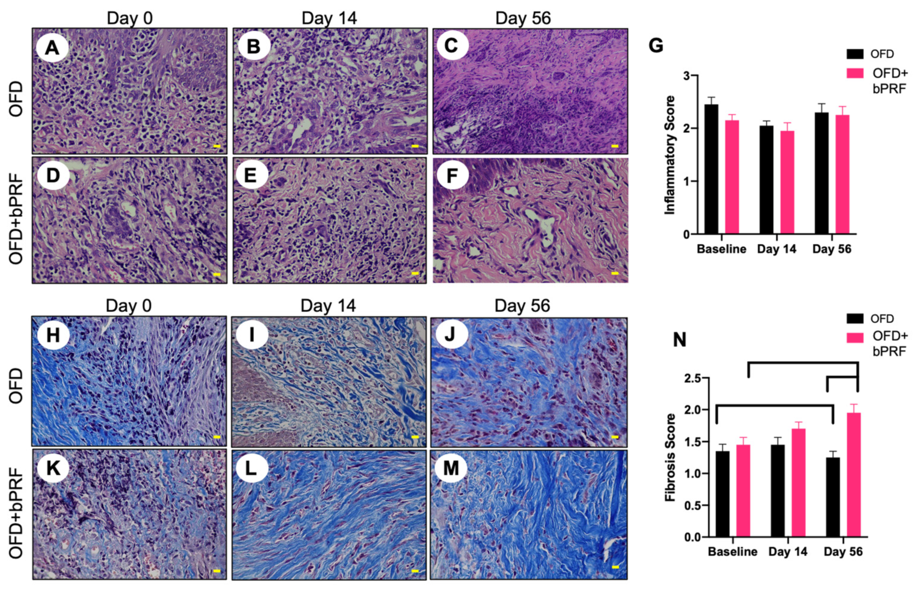 Vetsci 08 00210 g004 550